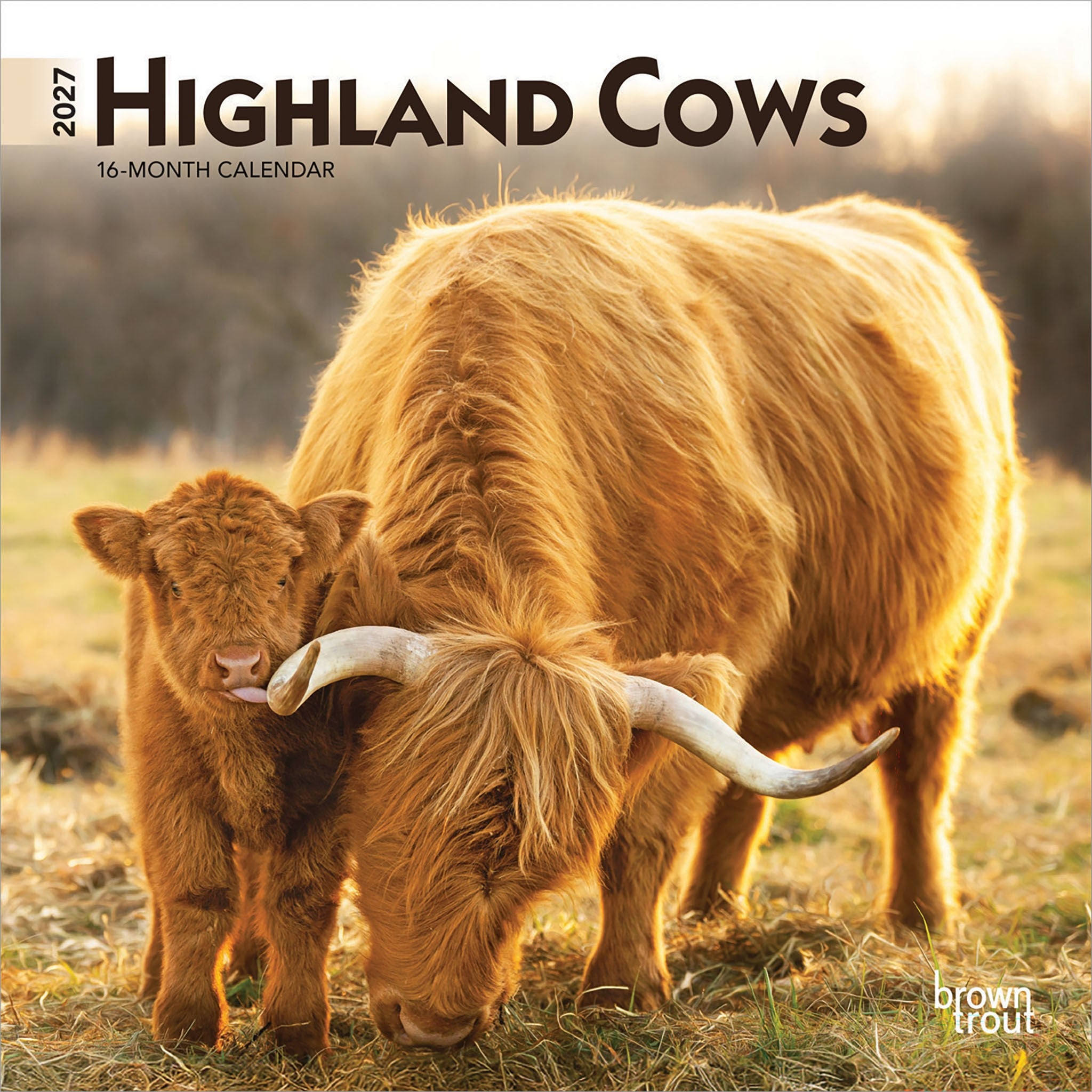 Highland Cows 2027 Mini Calendar