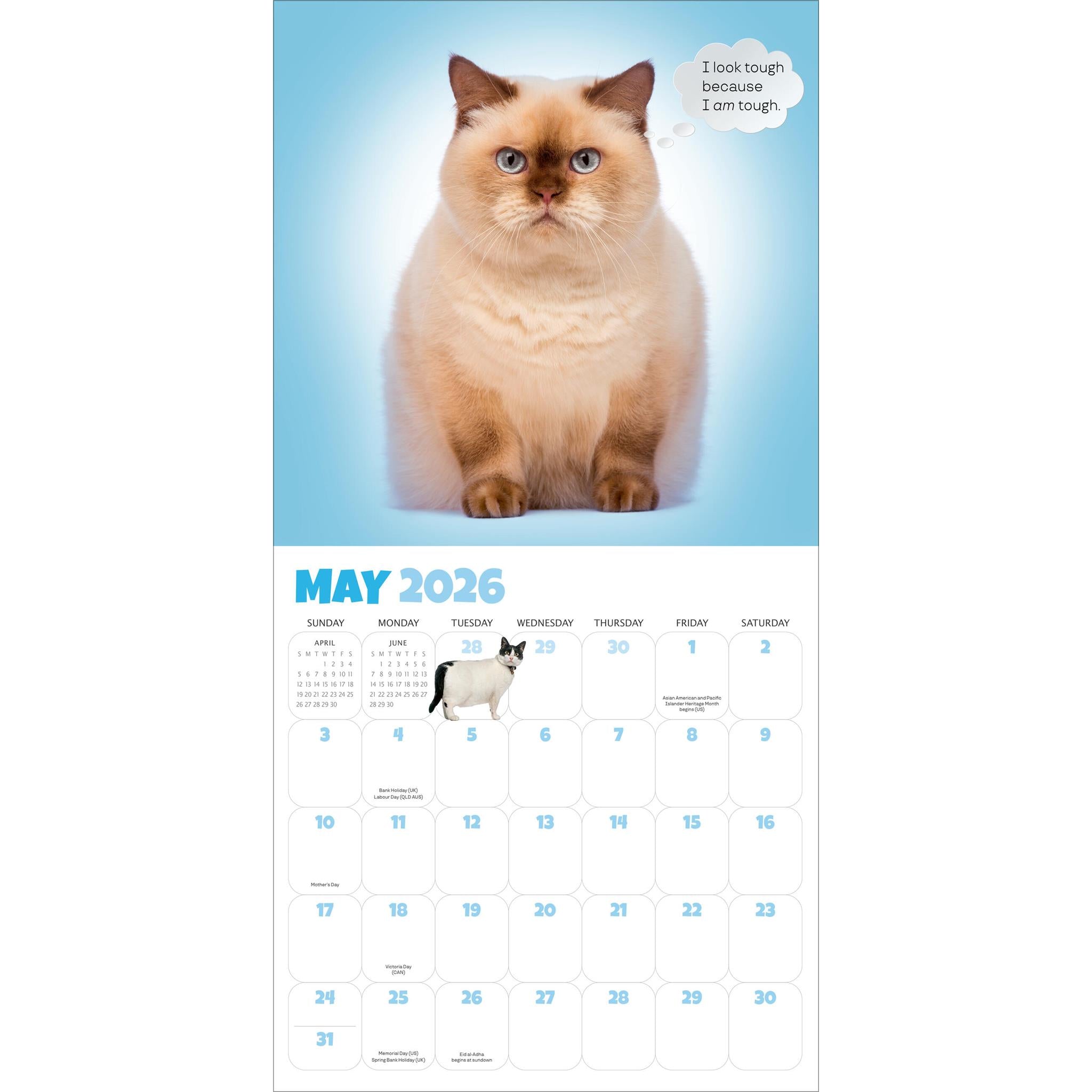 Calendrier mural Chonkers 2026