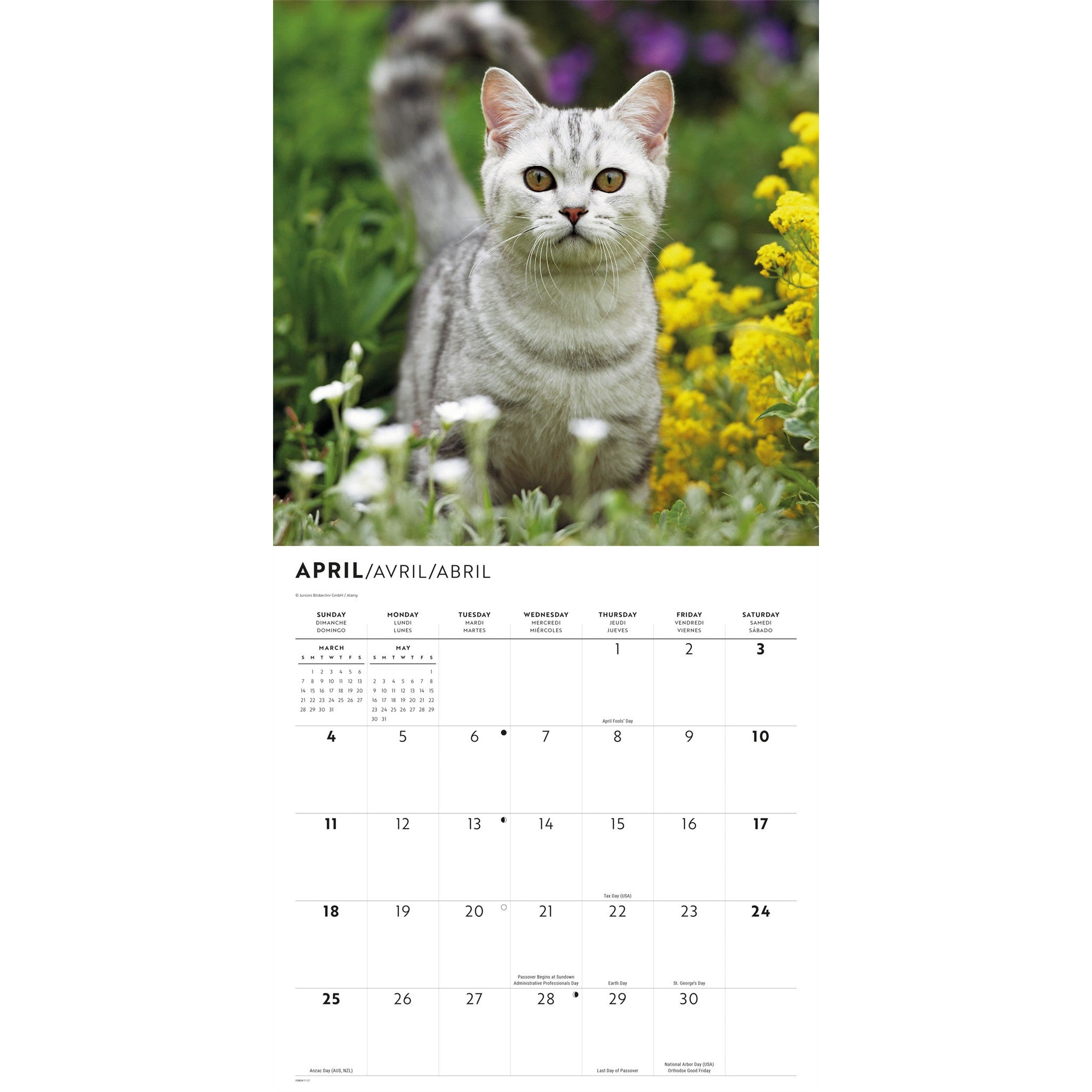 Calendrier mural L'Amour des chats 2027