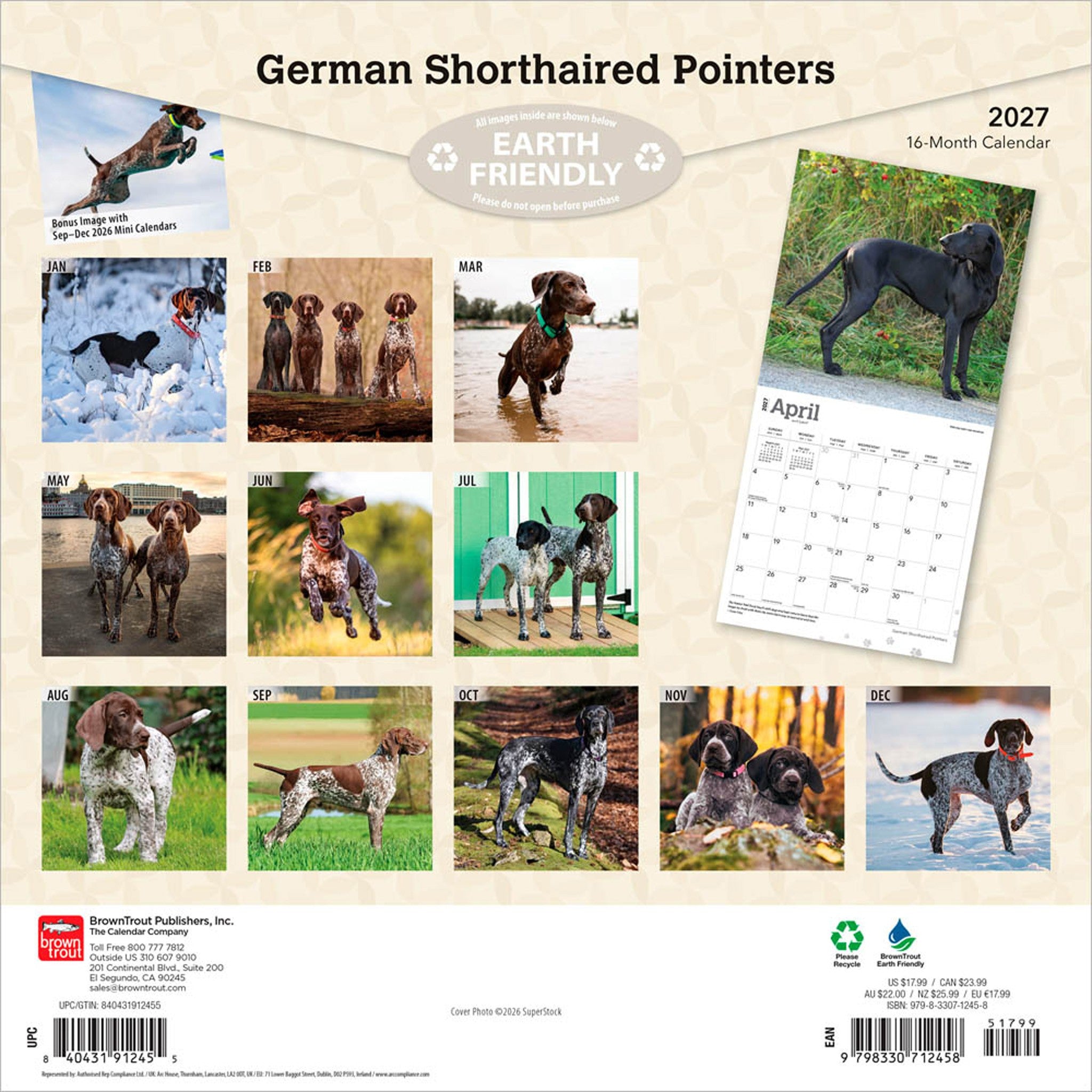 German Shorthaired Pointers 2027 Wall Calendar