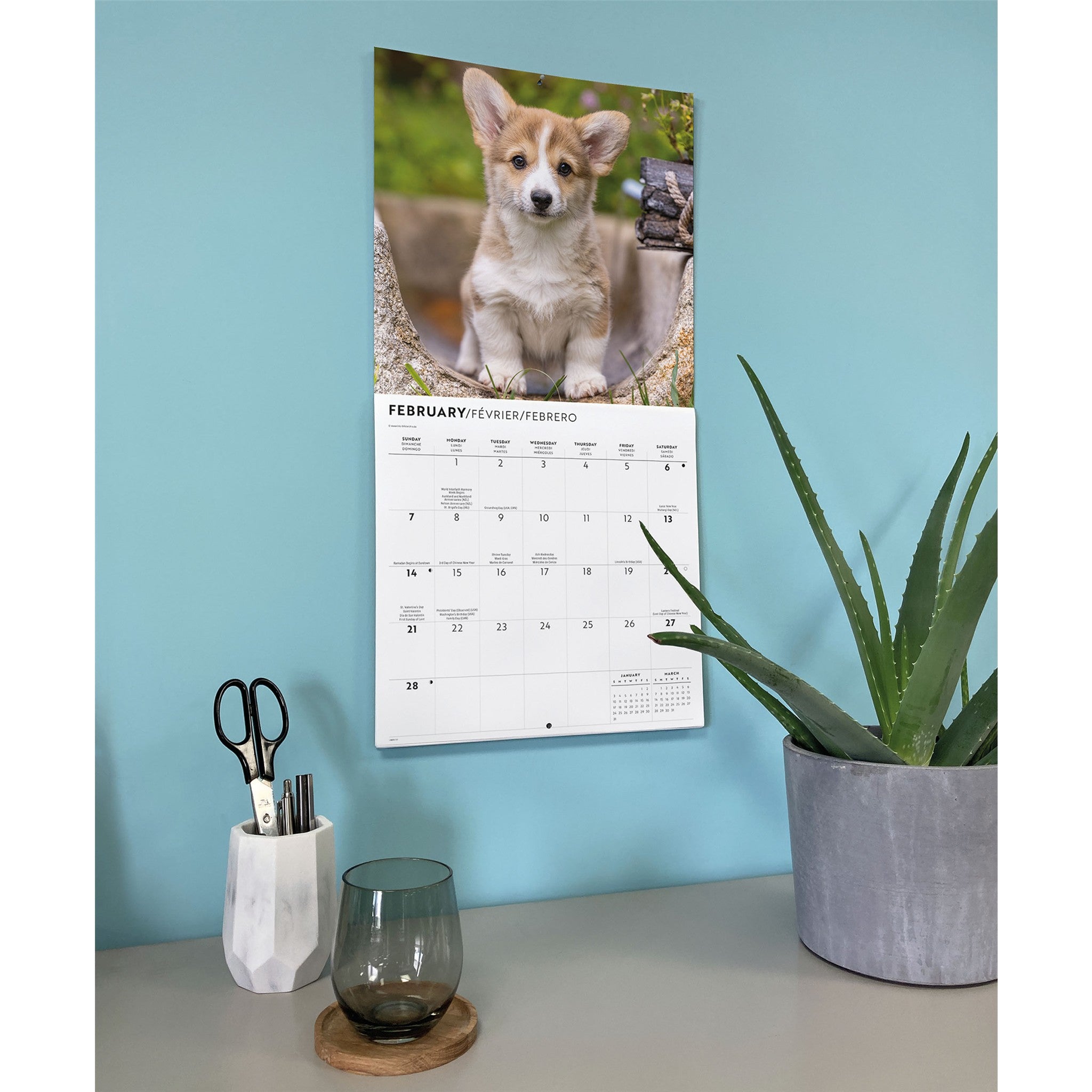 Calendrier mural chiots Corgi 2027