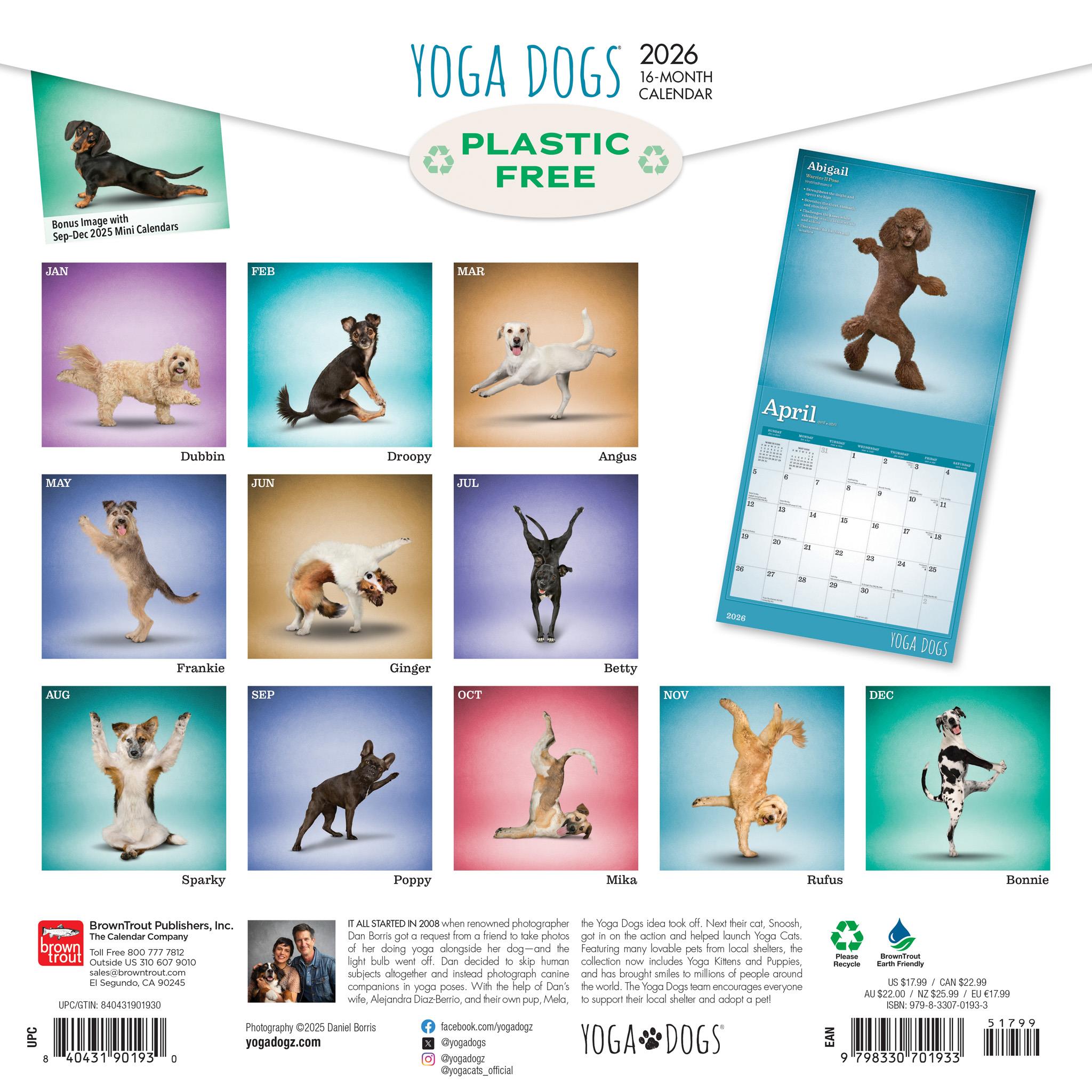Calendrier mural Yoga Dogs 2026