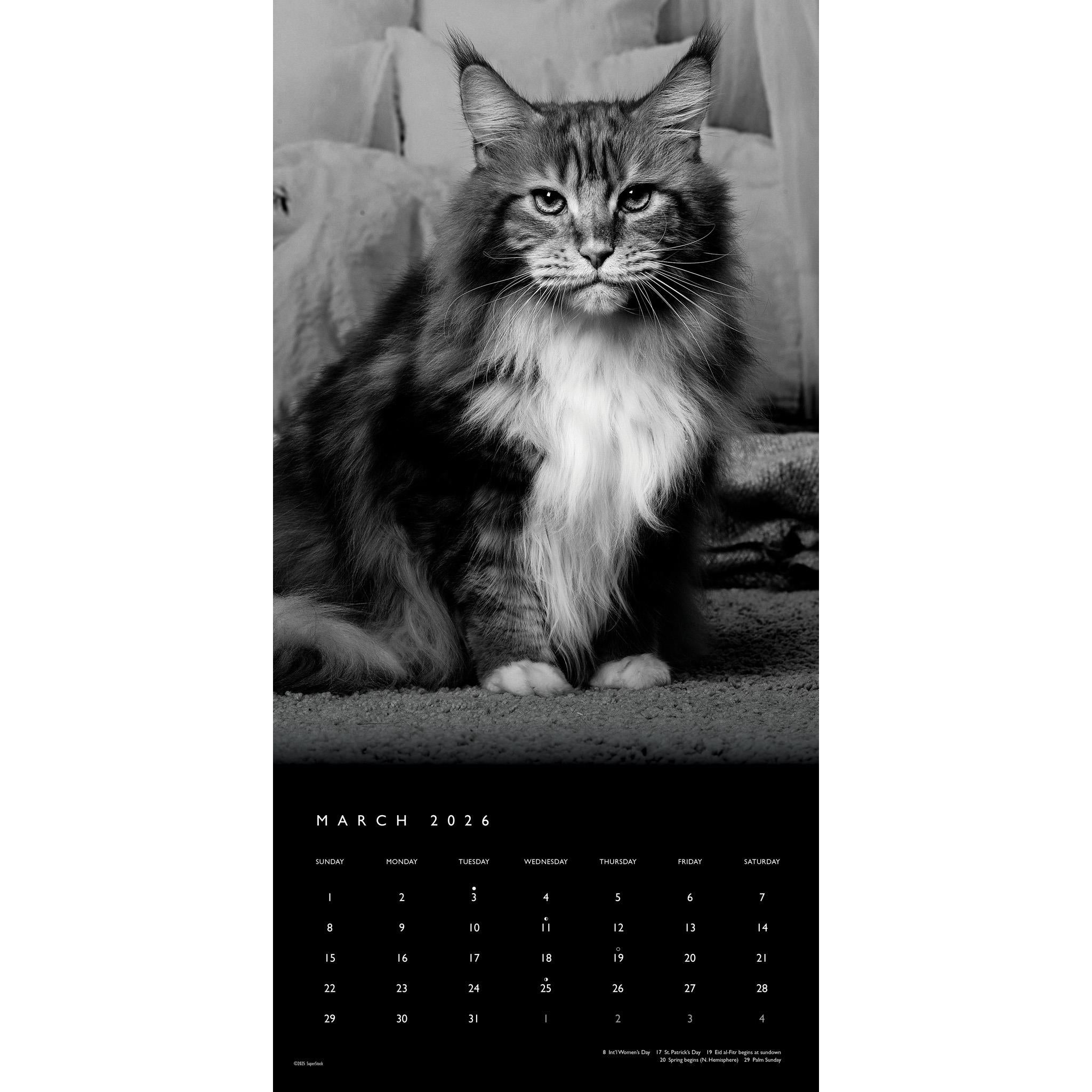 Cat The Regal 2026 Wall Calendar - Online Only