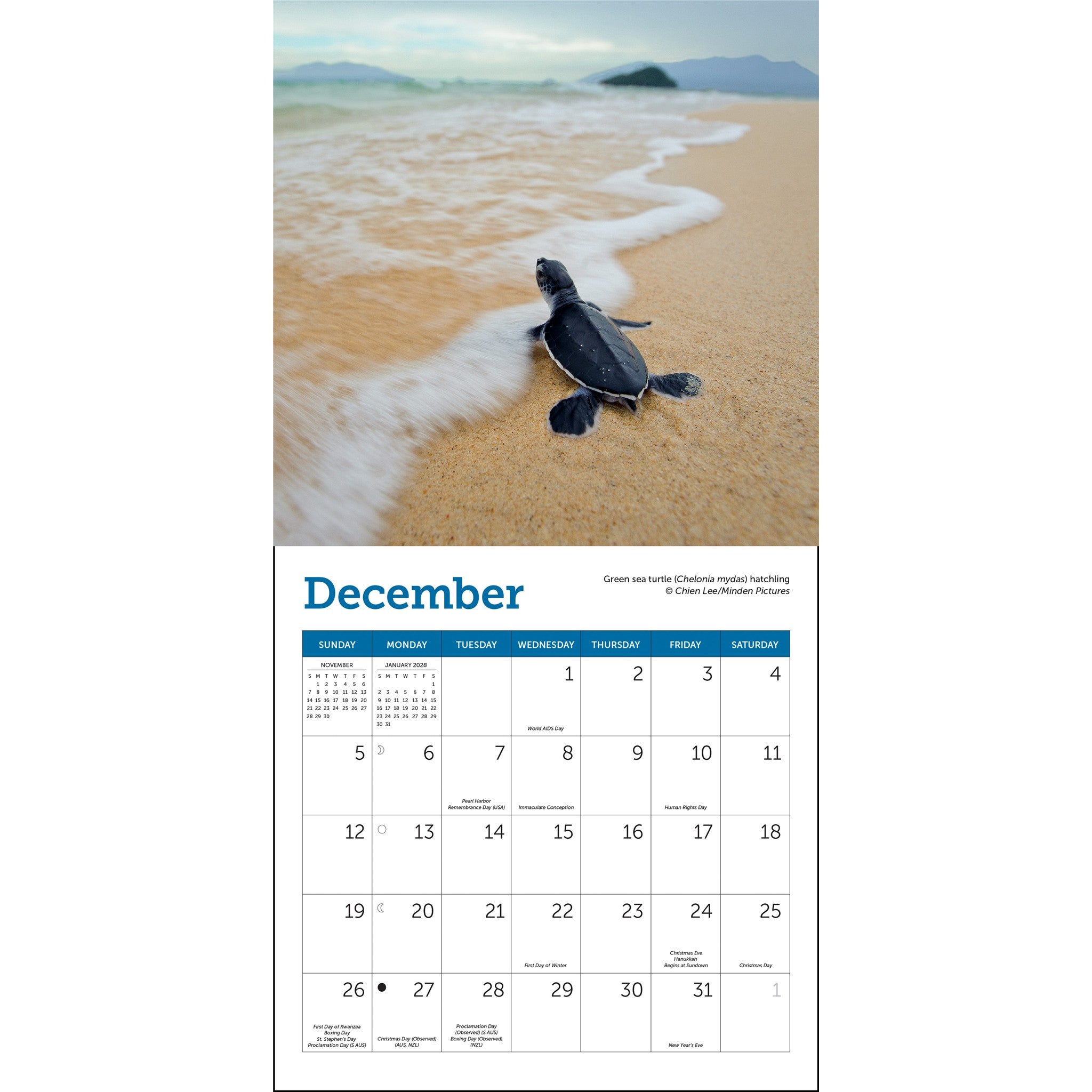Mini-calendrier Tortues marines 2027