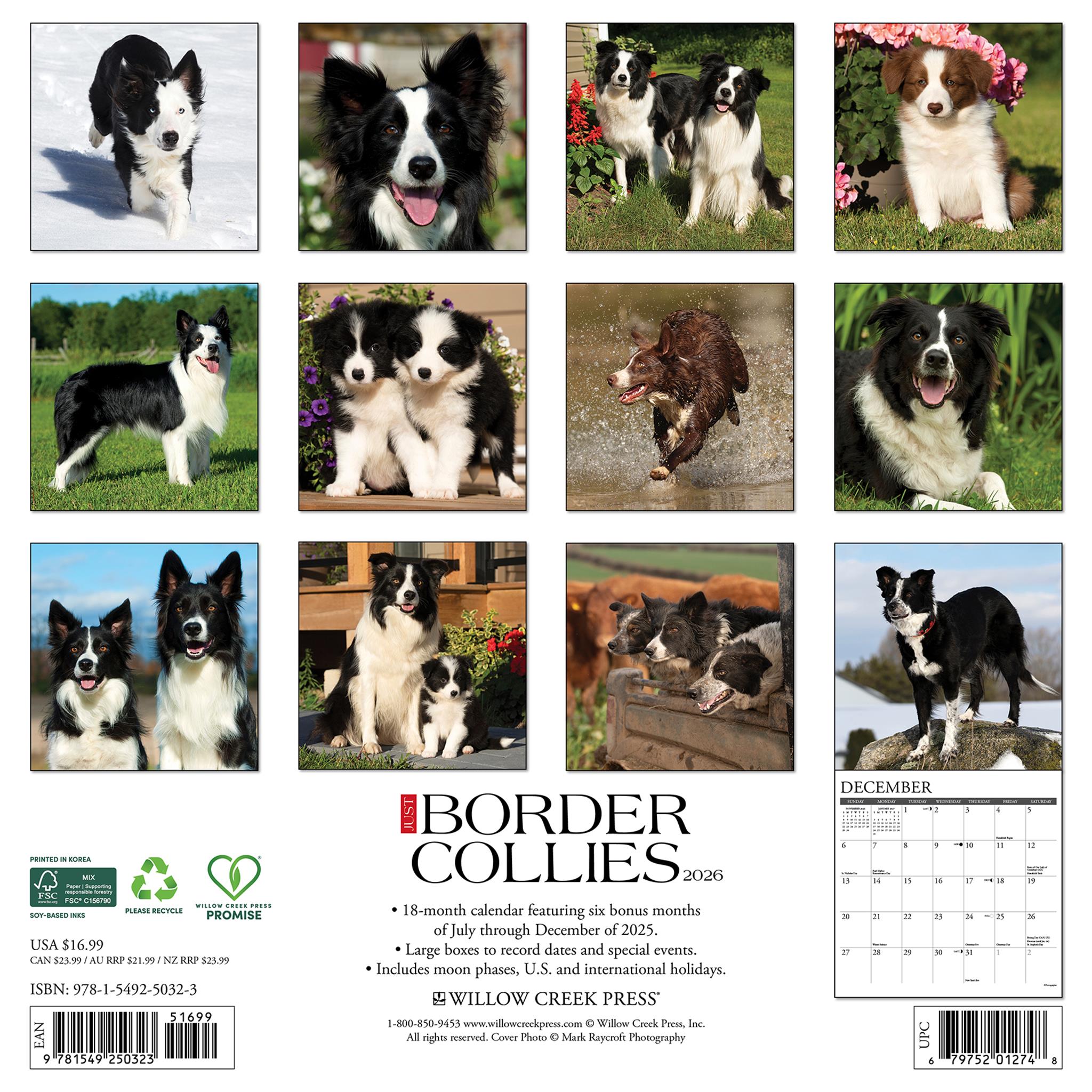 Calendrier mural Just Border Collies 2026