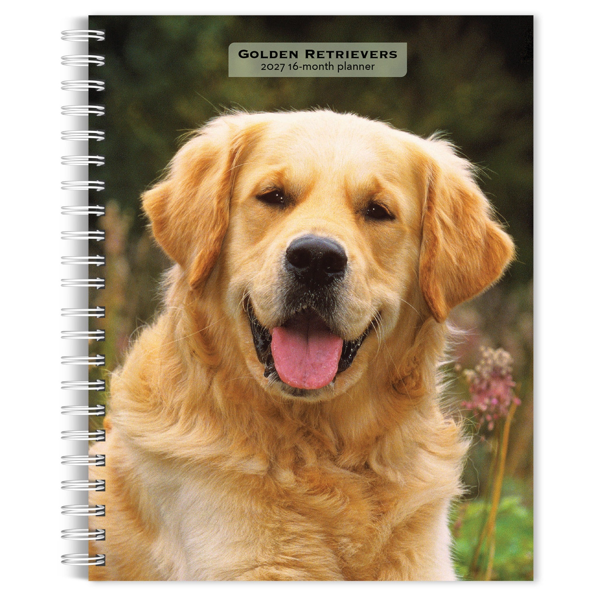 Golden Retrievers 2027 Engagement Calendar - Online Only
