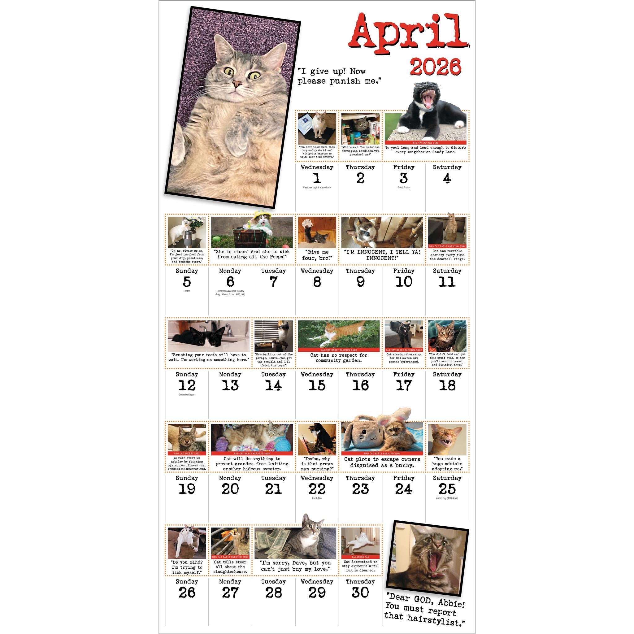 Bad Cat 2026 Wall Calendar - Online Only