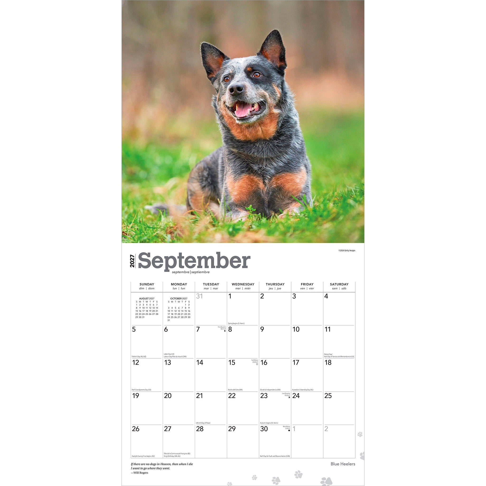 Blue Heelers 2027 Wall Calendar