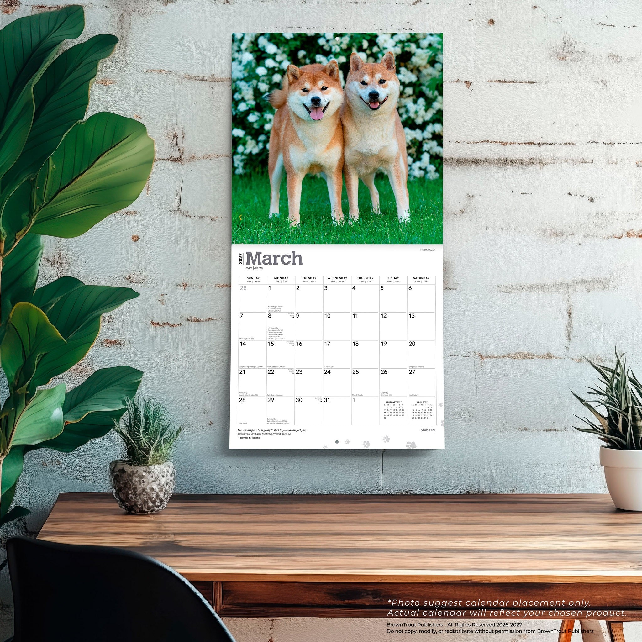 Shiba Inu 2027 Wall Calendar - Online Only