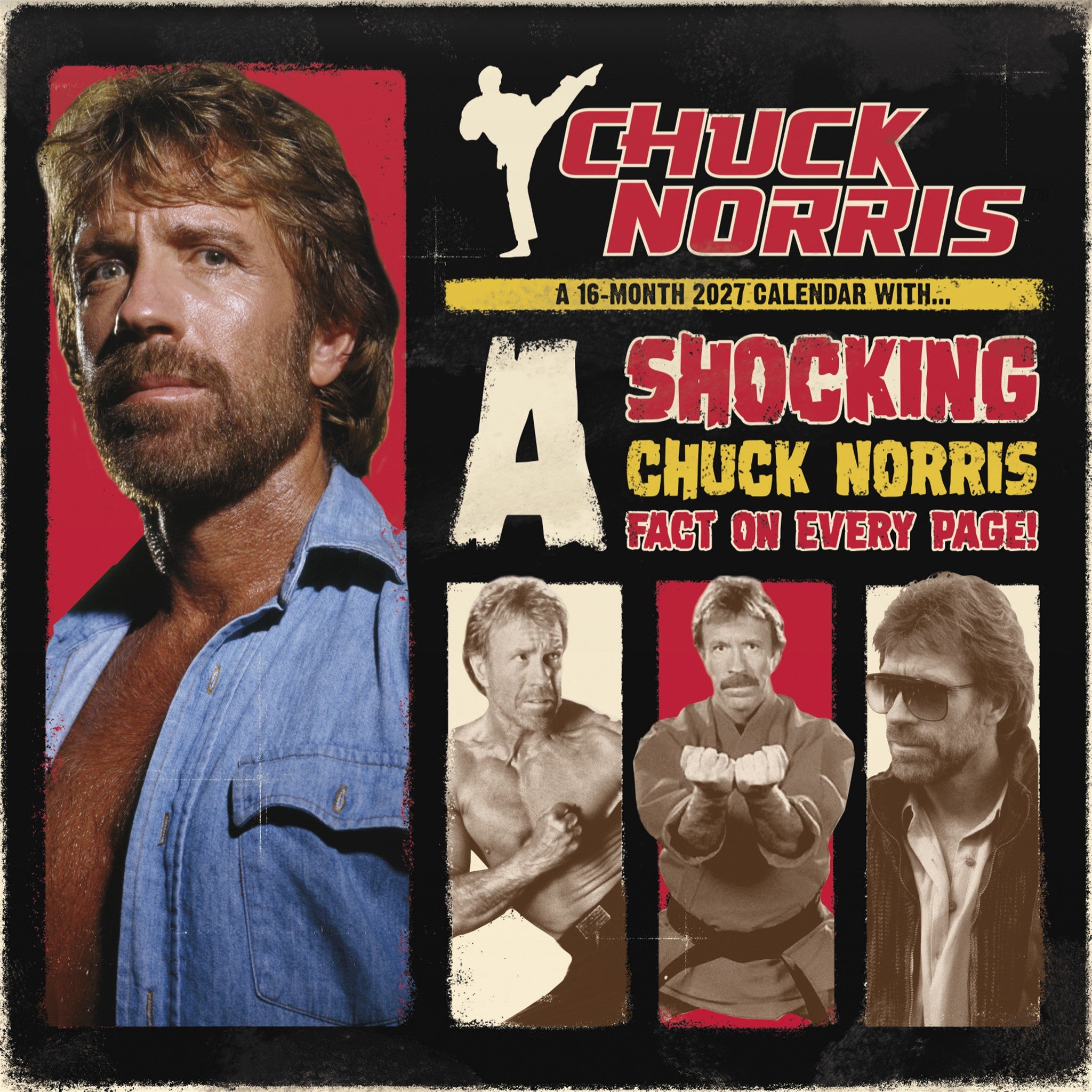 Calendrier mural Chuck Norris 2027