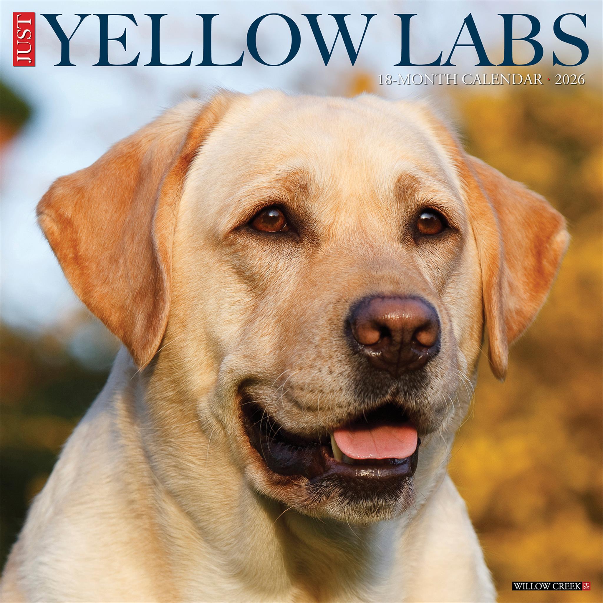 Calendrier mural Just Yellow Labs 2026