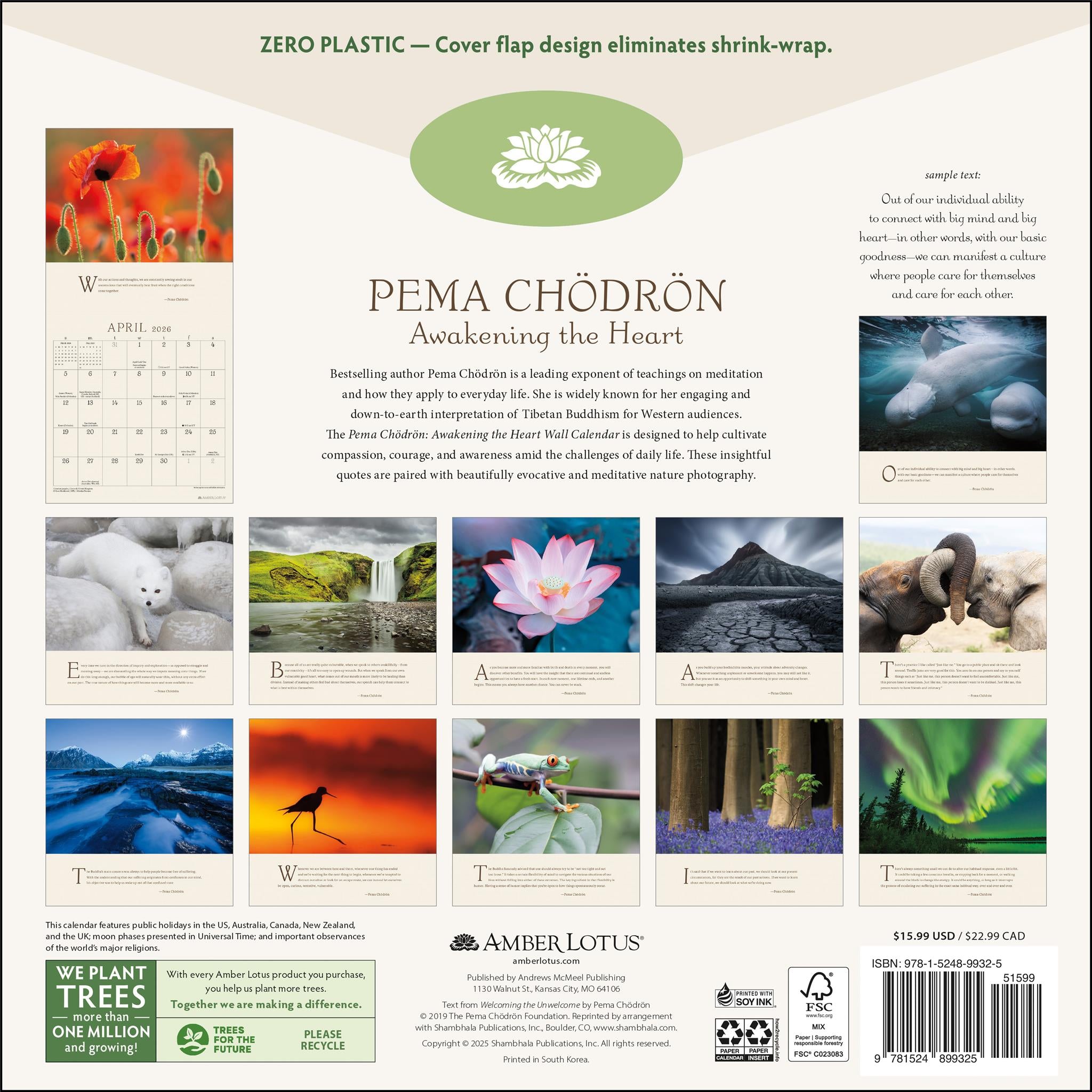 Pema Chödrön 2026 Wall Calendar - Online Only