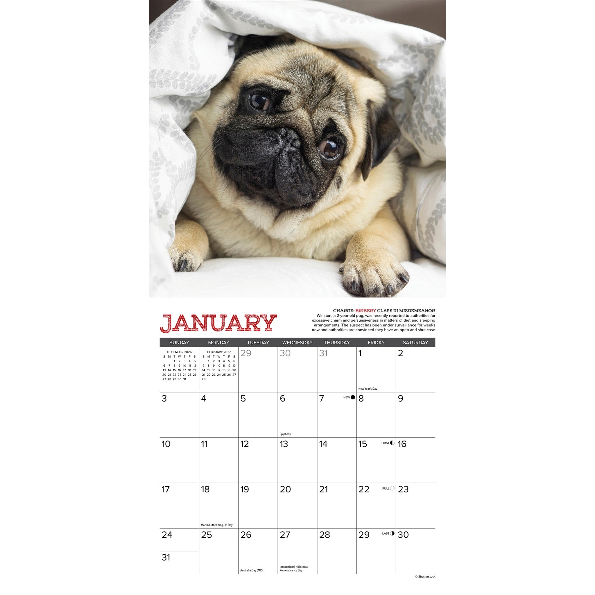 Pug Mugs 2027 Mini Calendar