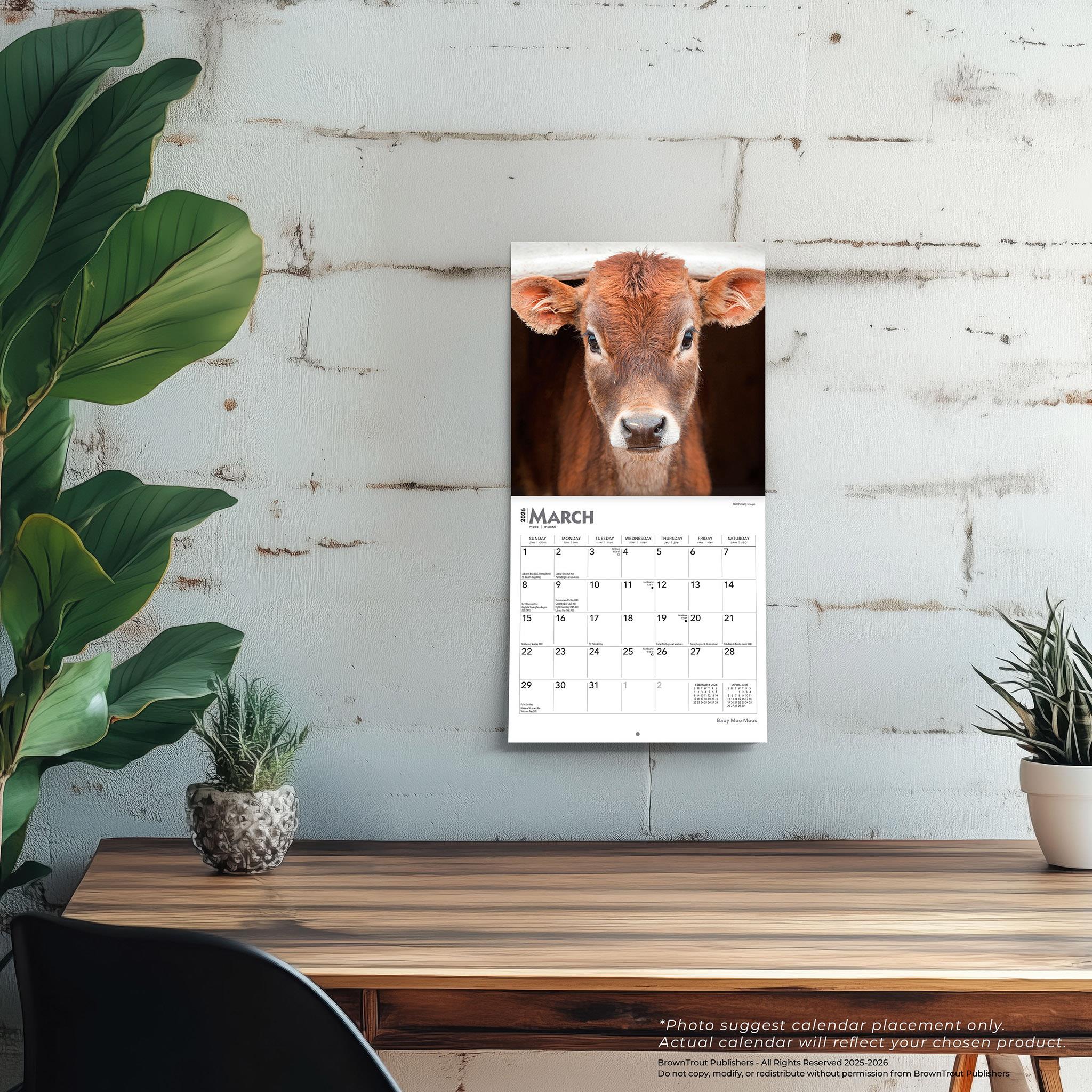 Mini calendrier Baby Moo Moos 2026 - Disponible uniquement en ligne