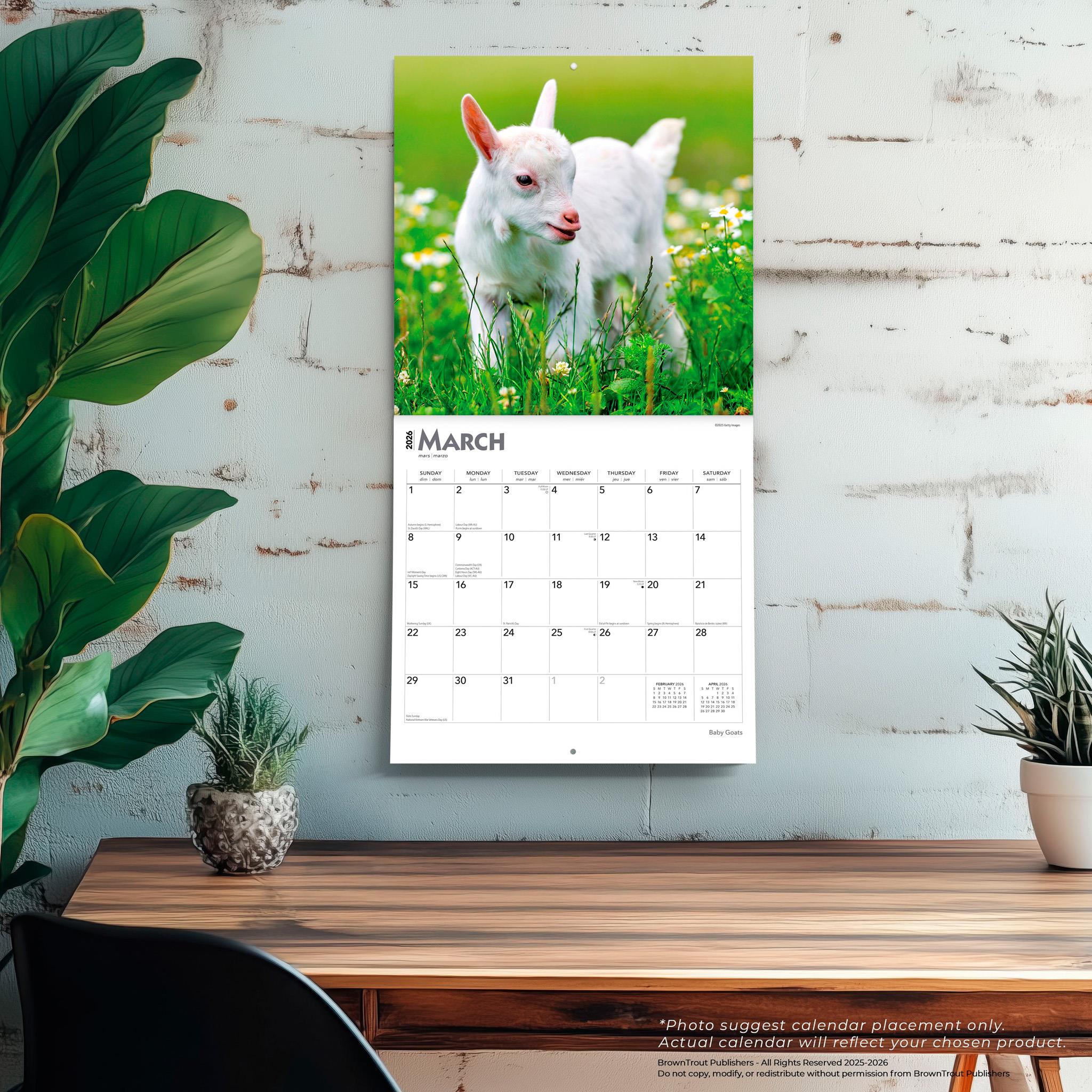 Baby Goats 2026 Wall Calendar