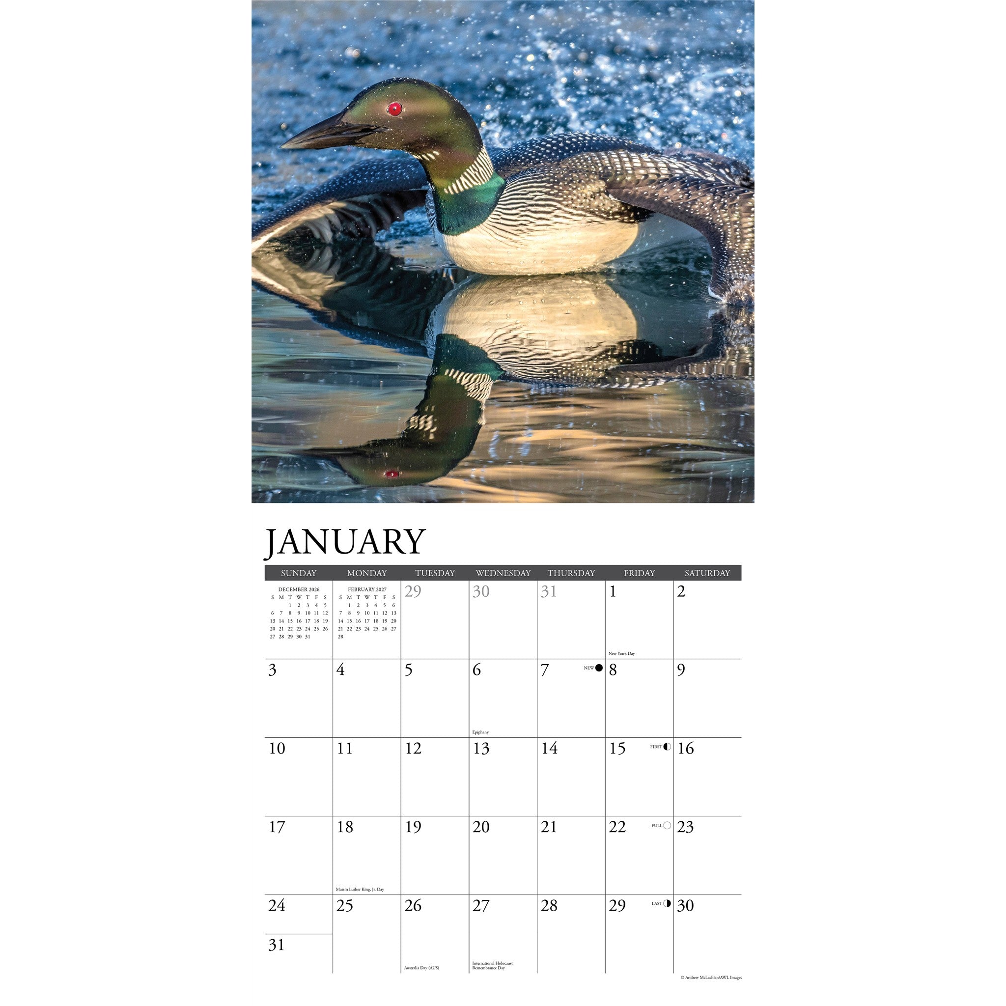 Loons 2027 Wall Calendar - Online Only