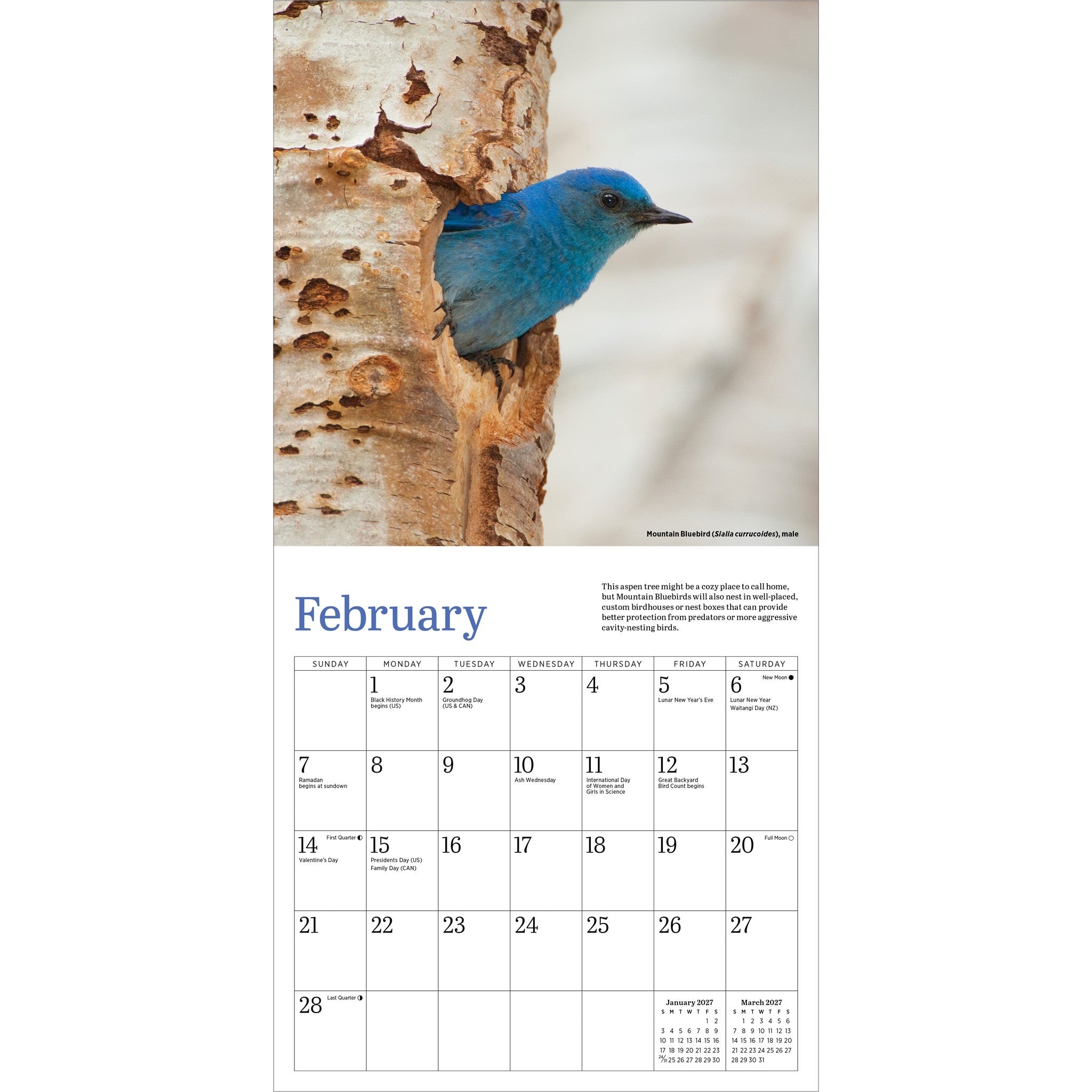 Audbon Bluebirds 2027 Mini Calendar - Online Only