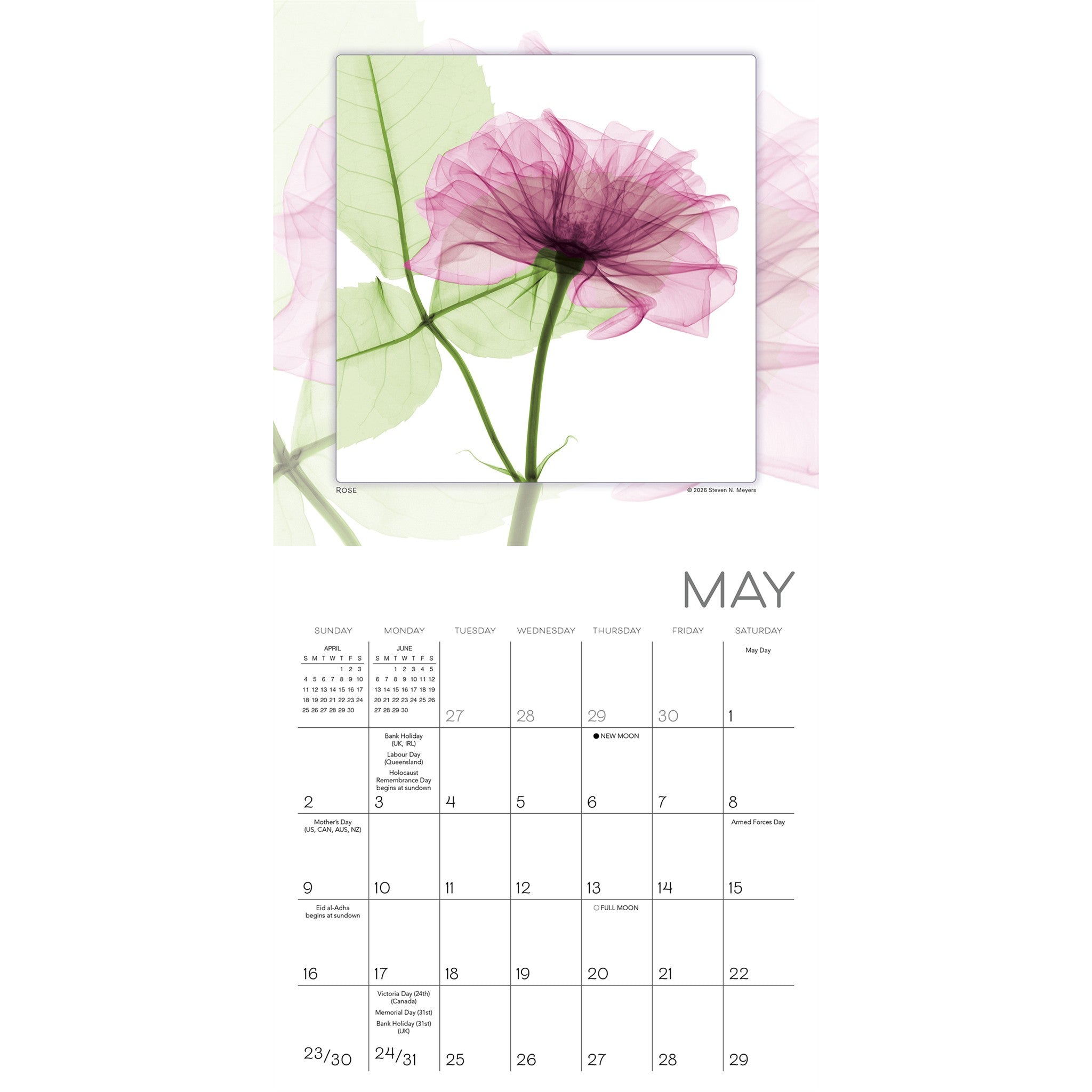 Flower Spirits 2027 Mini Calendar