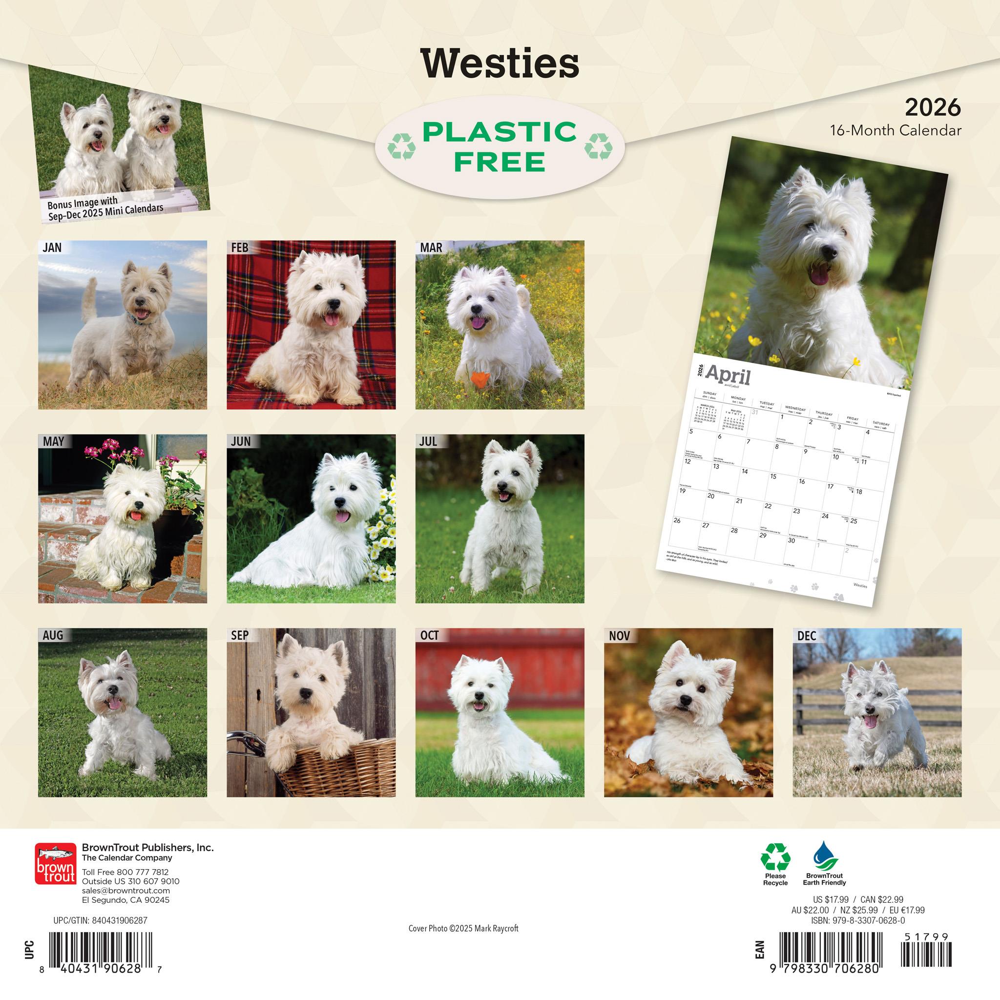 Calendrier mural West Highland White Terriers 2026