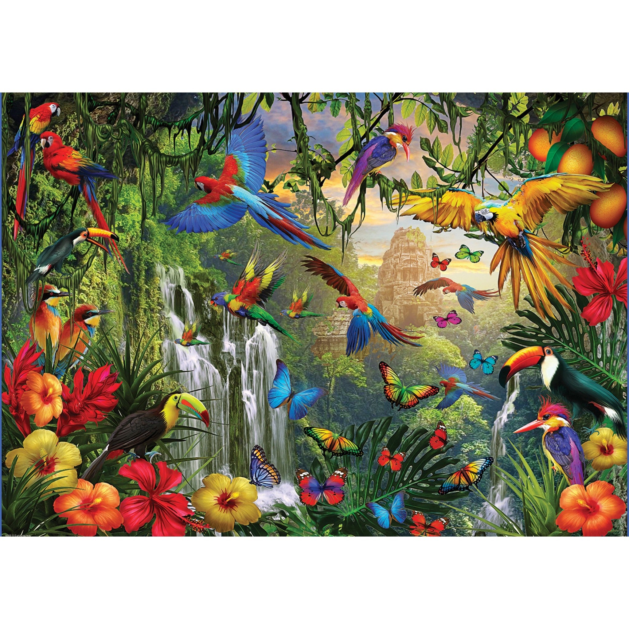 Puzzle géant de 500 pièces « Paradis des oiseaux tropicaux »