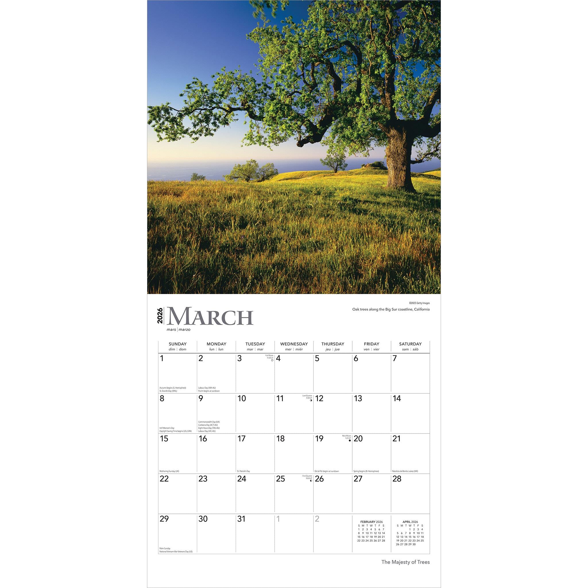 Calendrier mural 2026 « Majesté des arbres » - Disponible uniquement en ligne