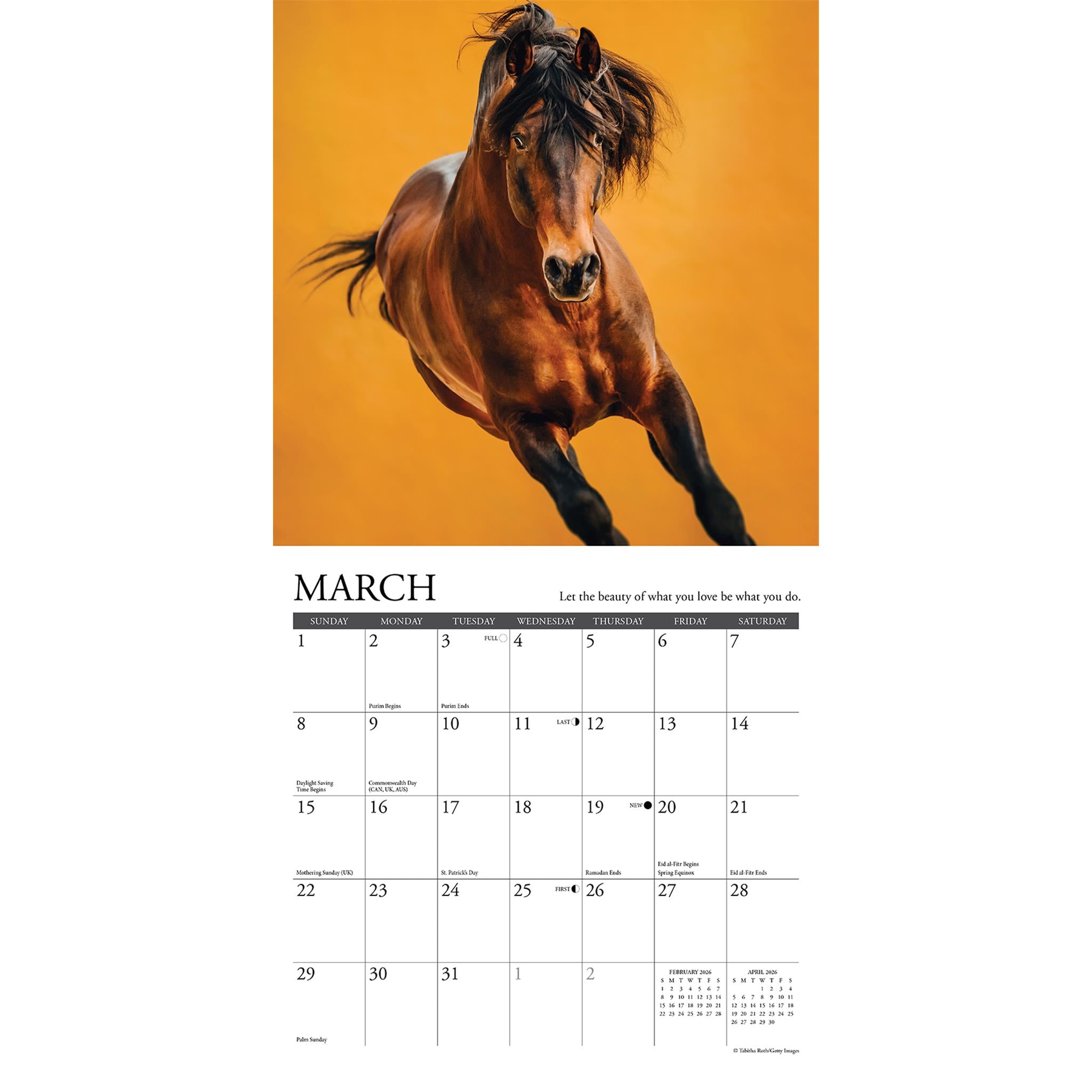 What Horses Teach Us 2026 Mini Calendar