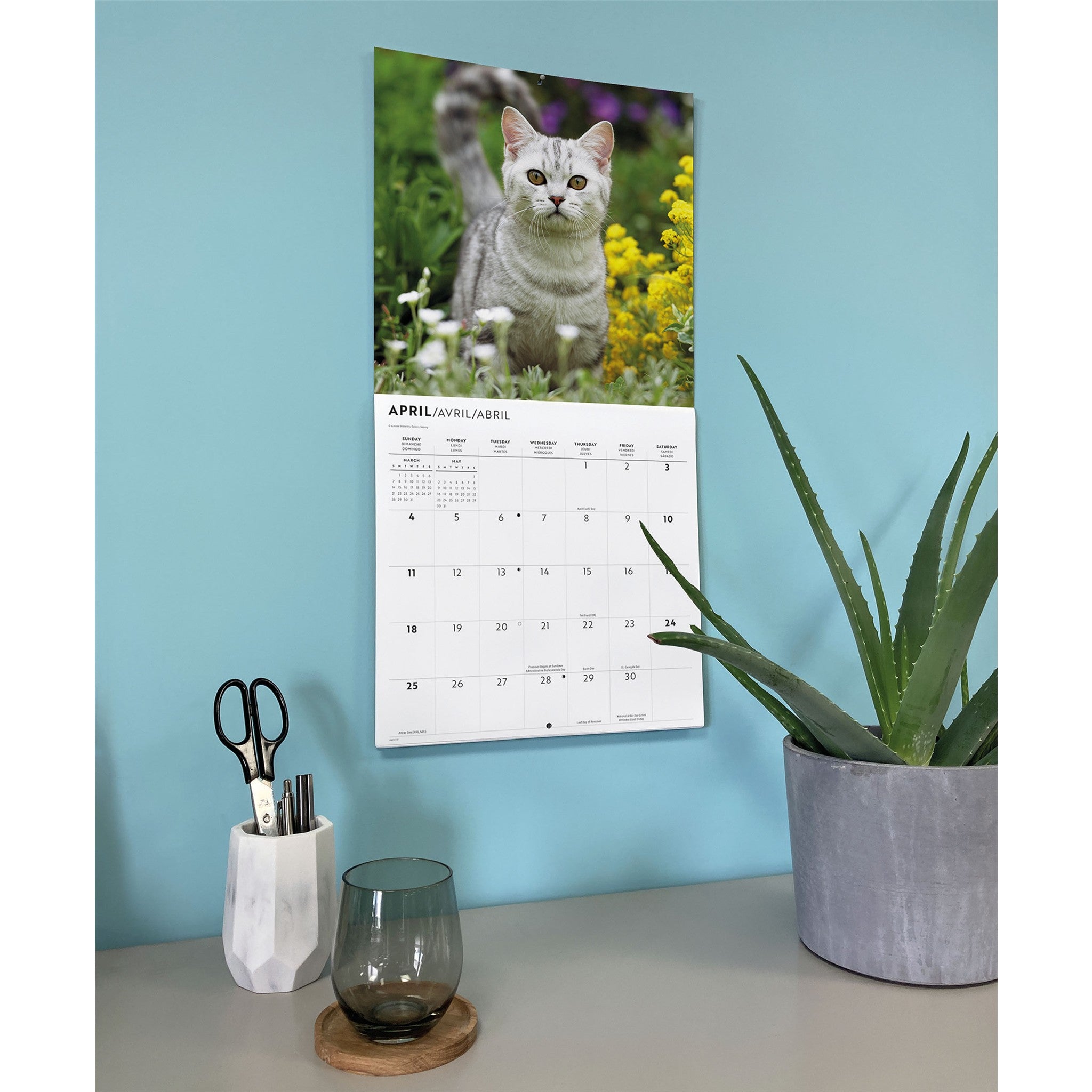 Calendrier mural L'Amour des chats 2027