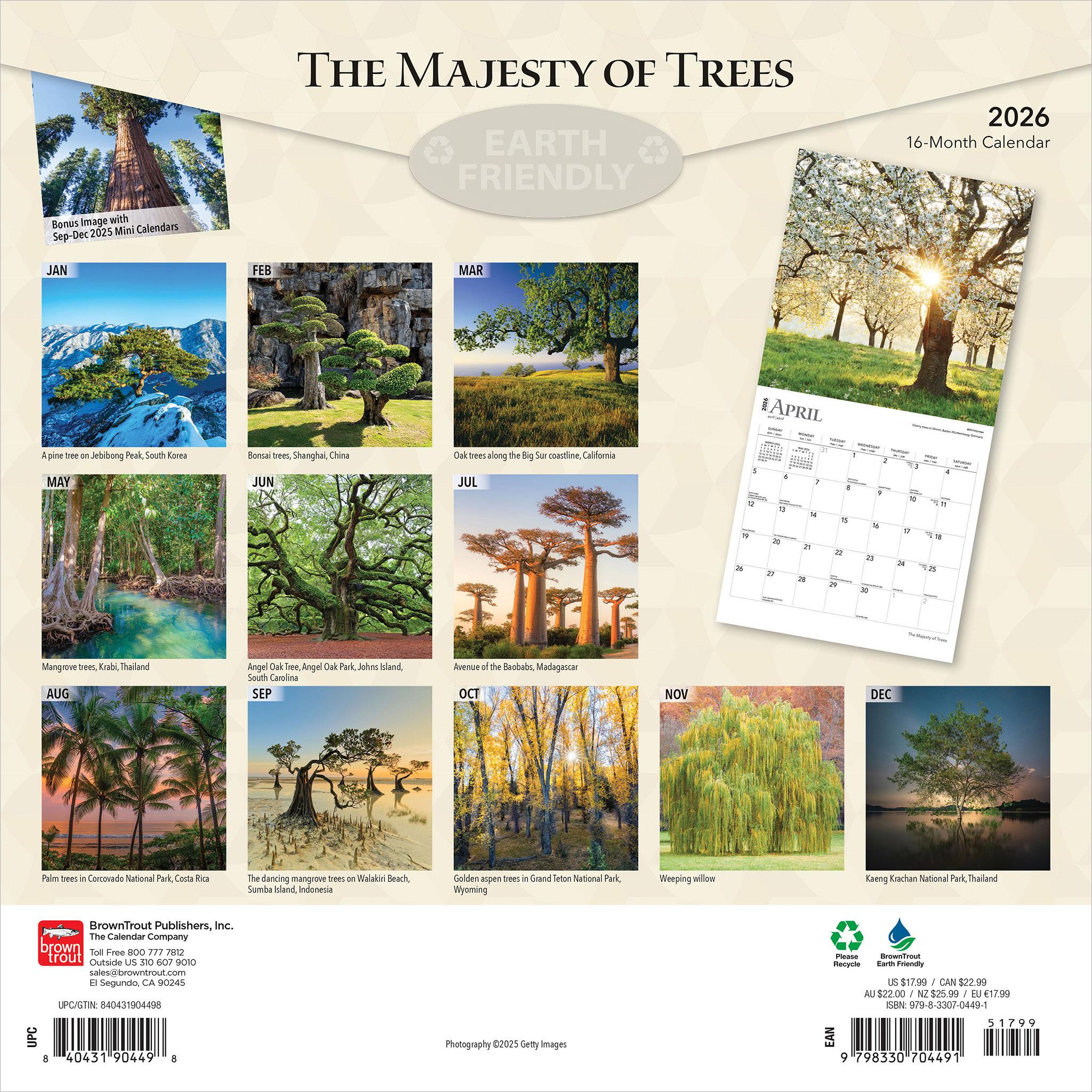 Calendrier mural 2026 « Majesté des arbres » - Disponible uniquement en ligne