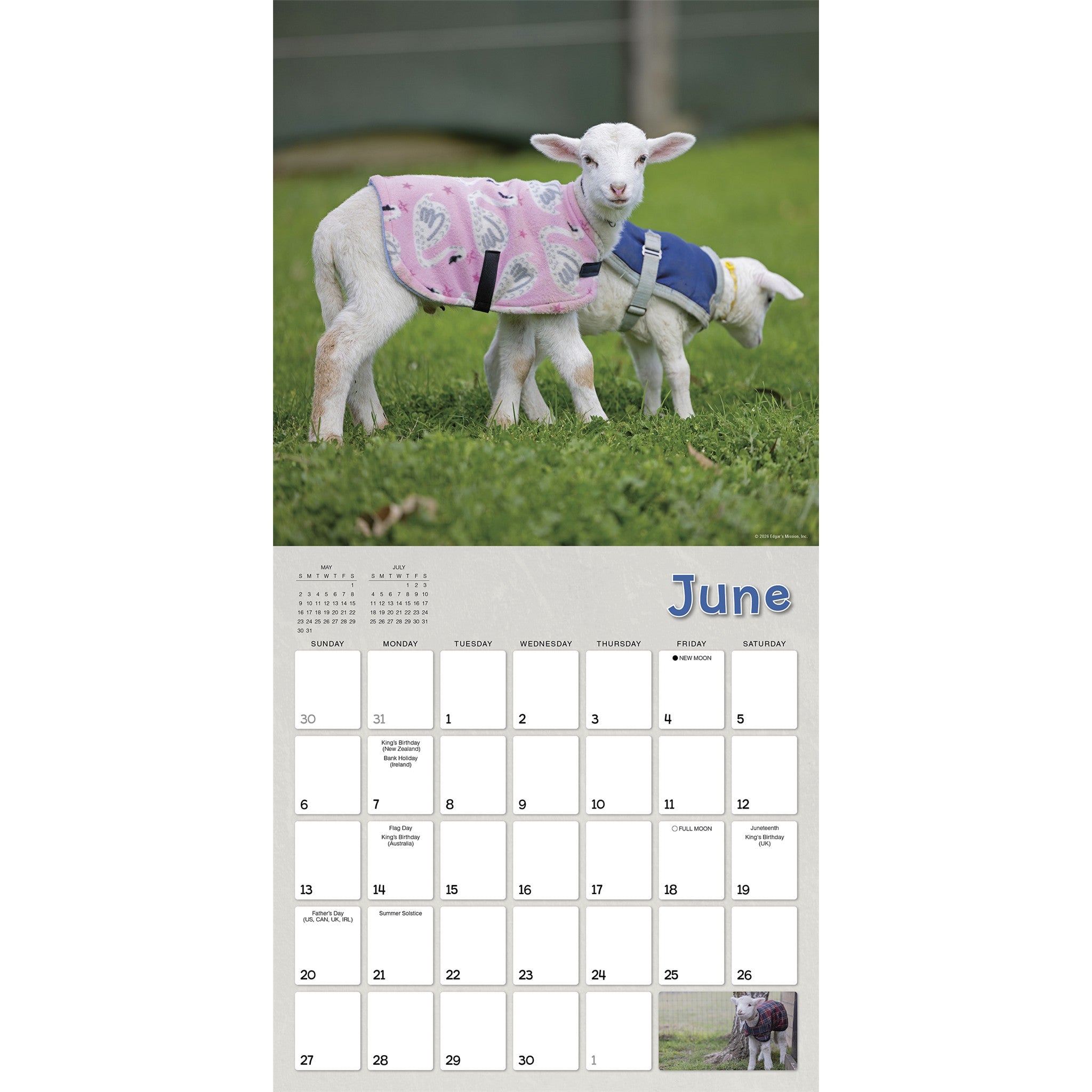 Lambies in Jammies & Goats in Coats 2027 Wall Calendar