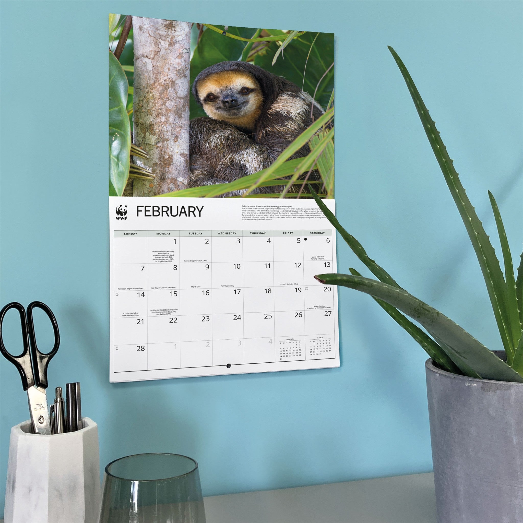 Calendrier Mural Paresseux 2027 du Fonds Mondial pour la Nature