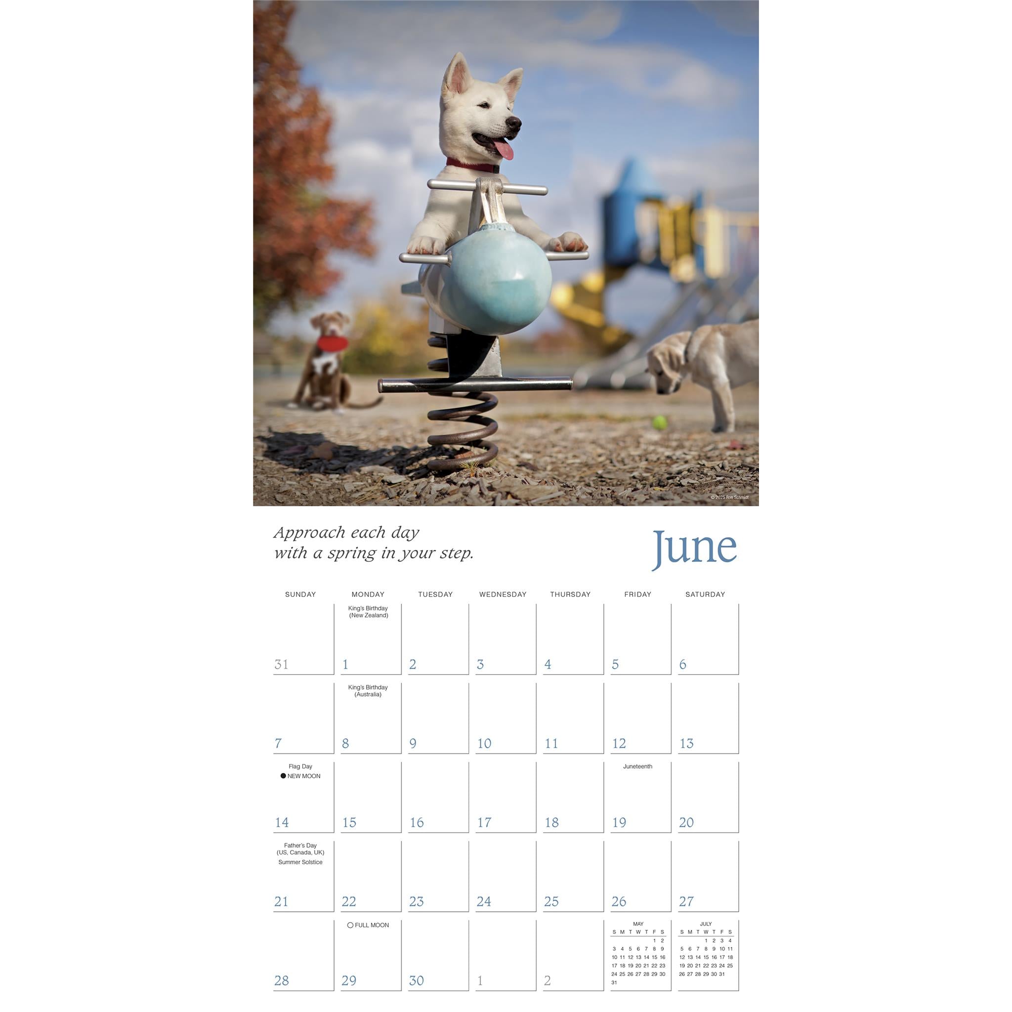 Calendrier mural Dogma 2026