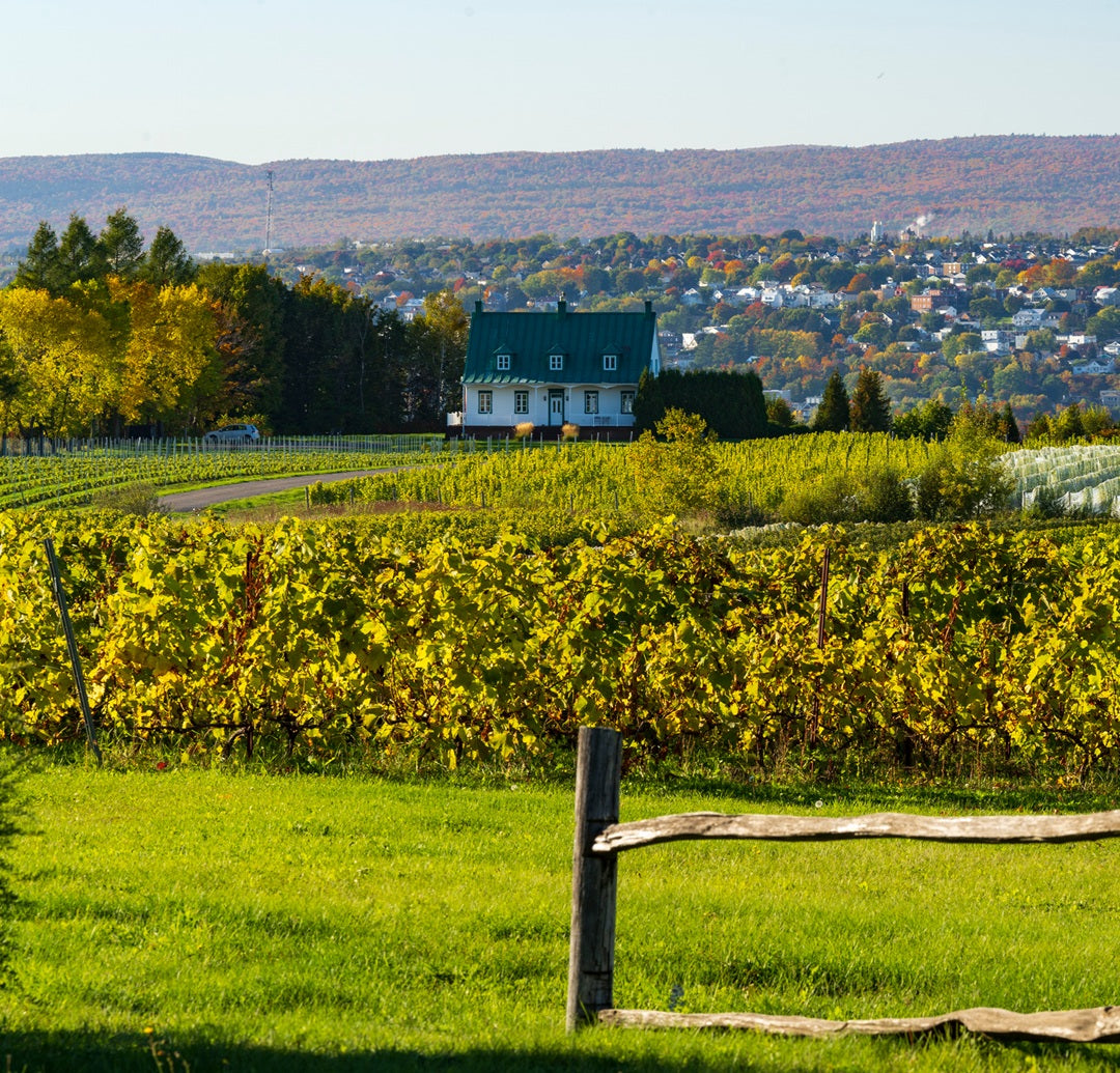 Calendrier mural de la ville de Québec 2026 (français)