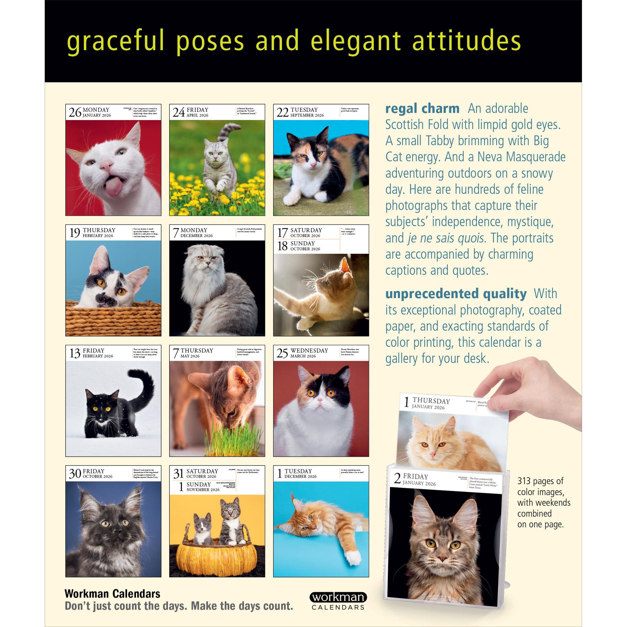 Cat Gallery 2026 Box Calendar
