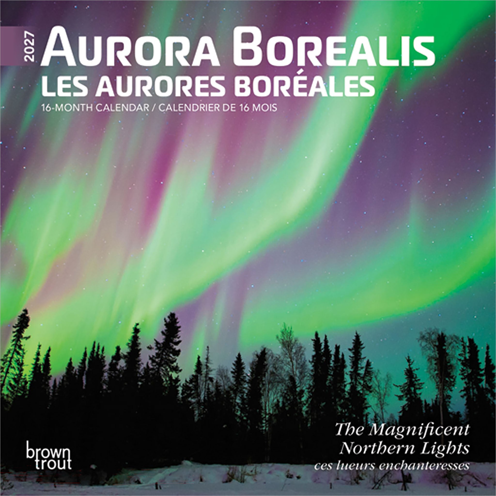 Aurora Borealis / Les aurores boréales 2027 Mini Calendar