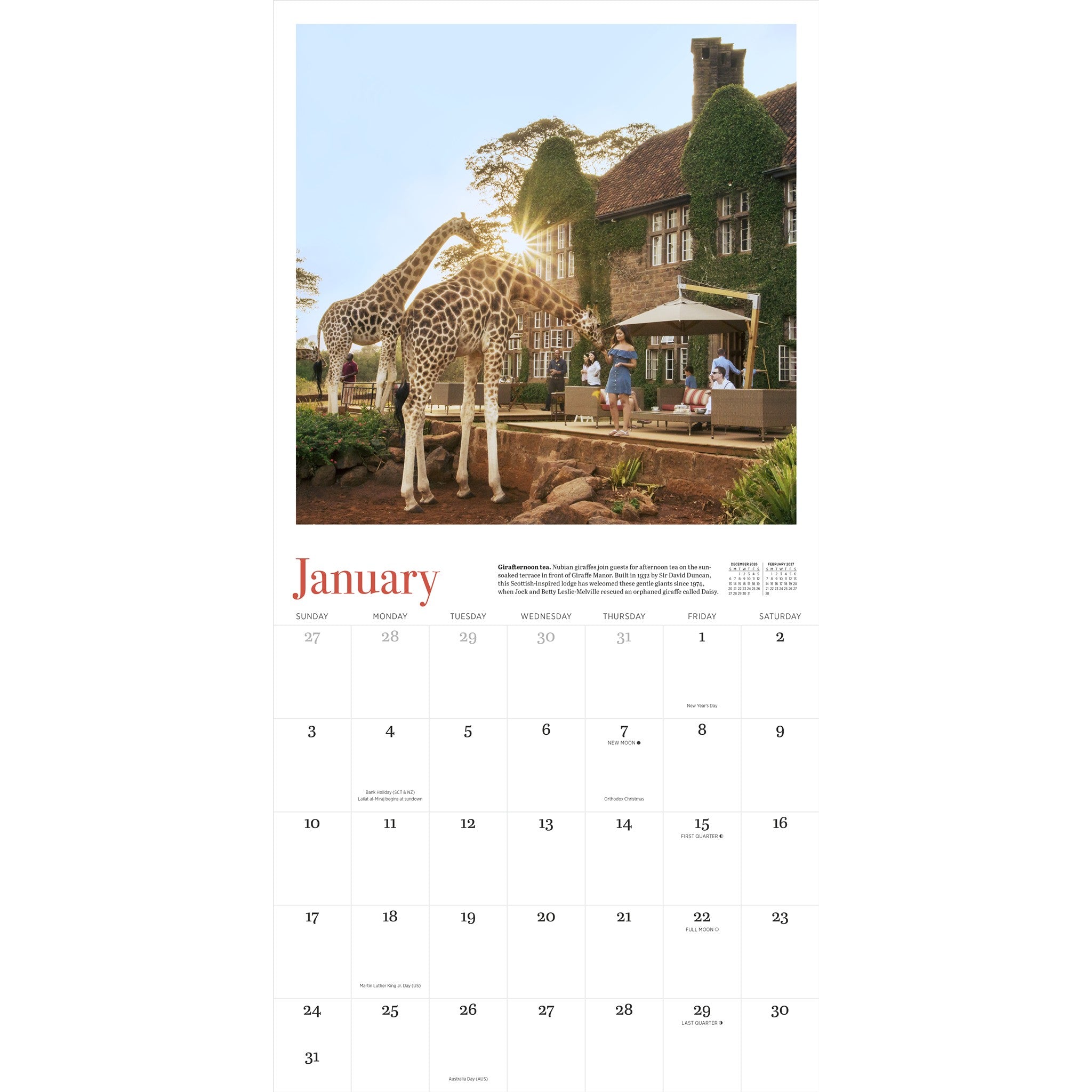 Giraffe Manor 2027 Wall Calendar - Online Only