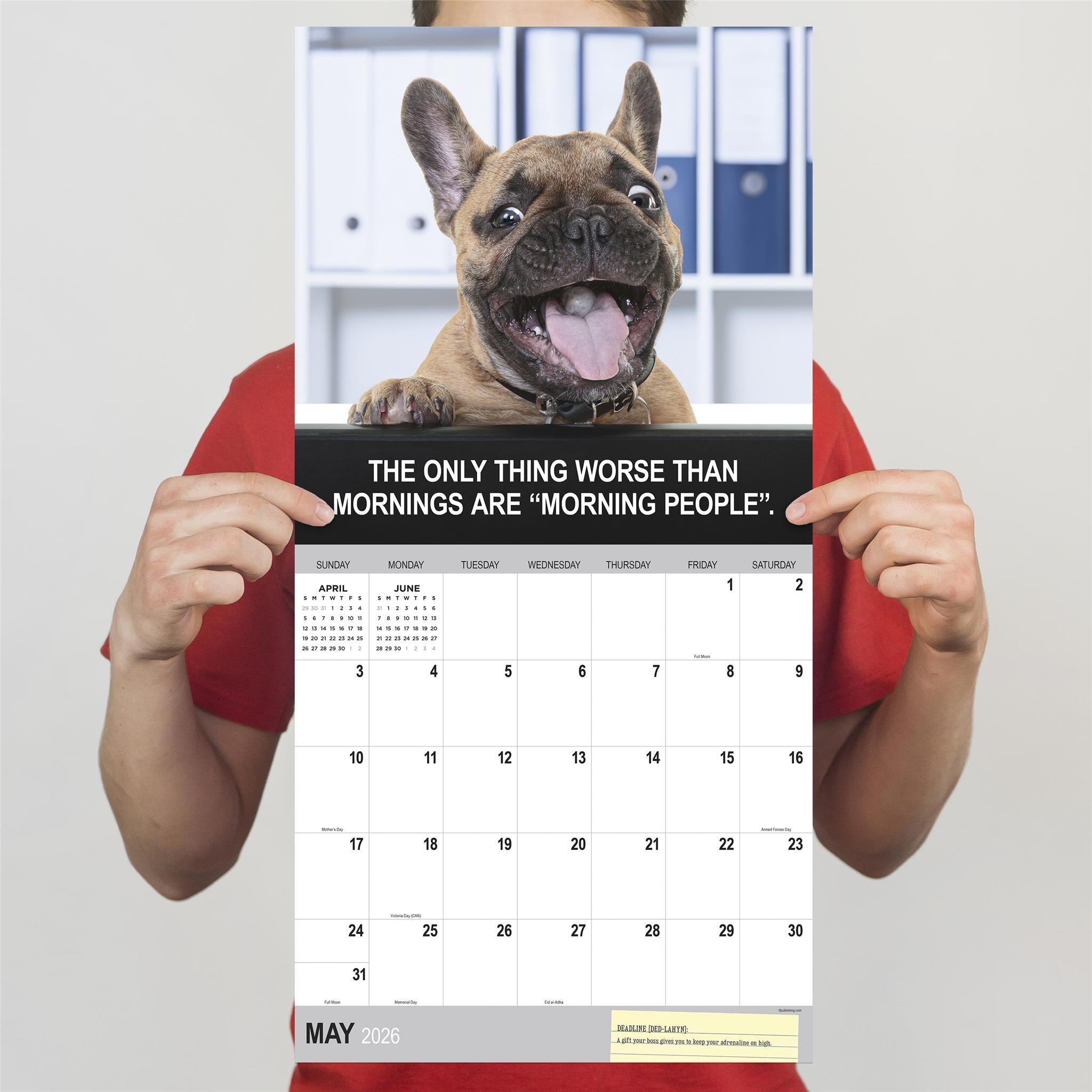 Calendrier mural Desk Dogs 2026