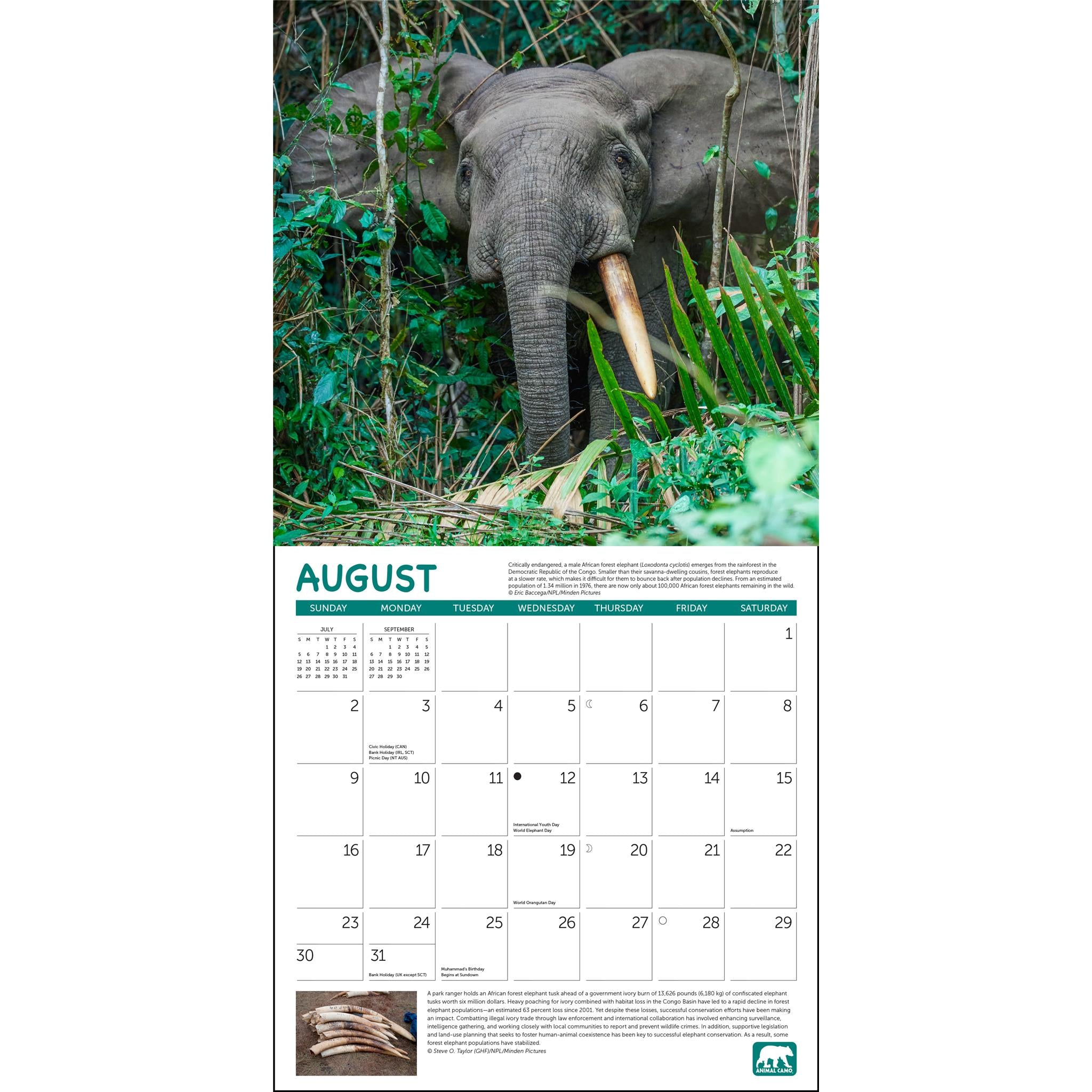 Calendrier mural Projet Vert 2026