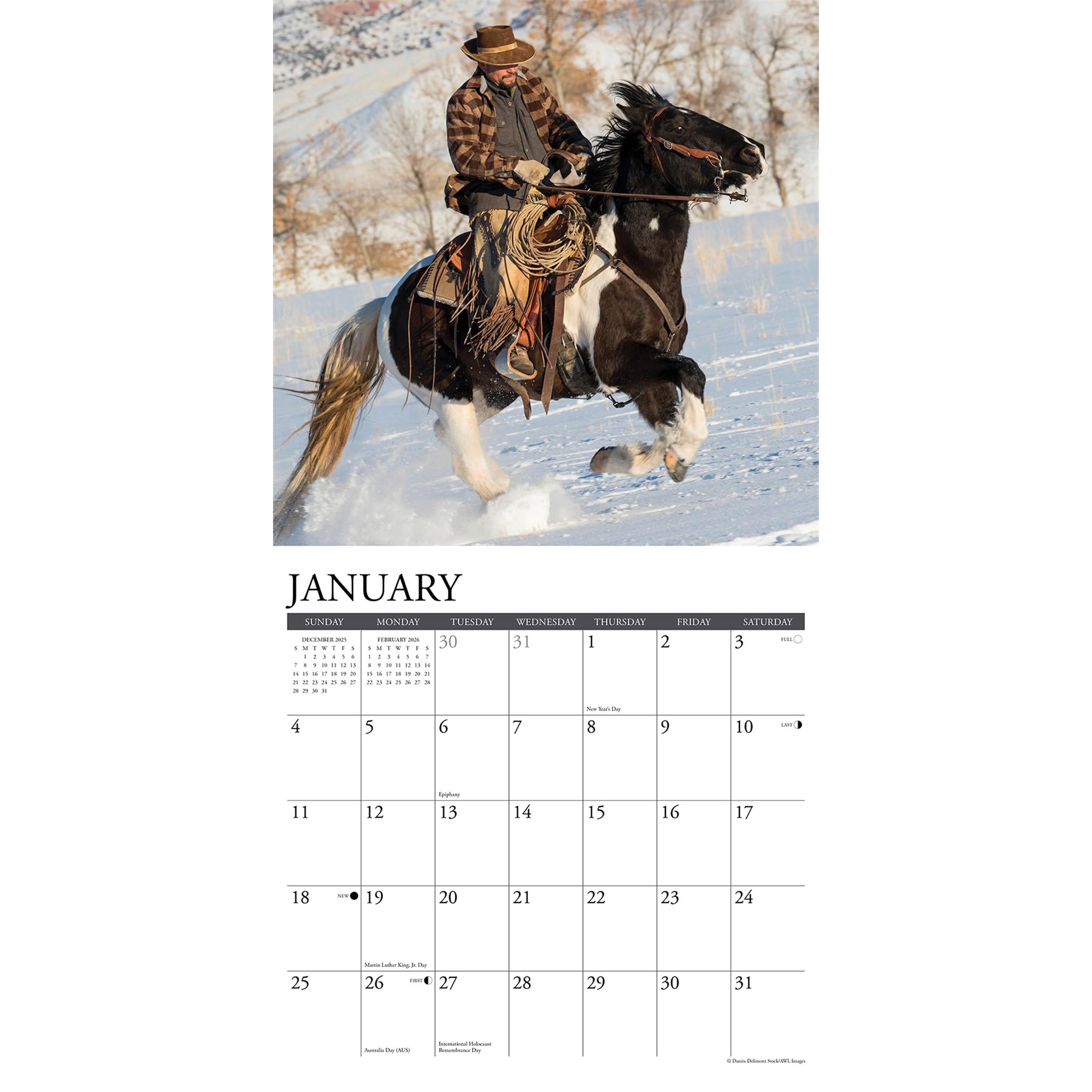 Cowboys 2026 Wall Calendar