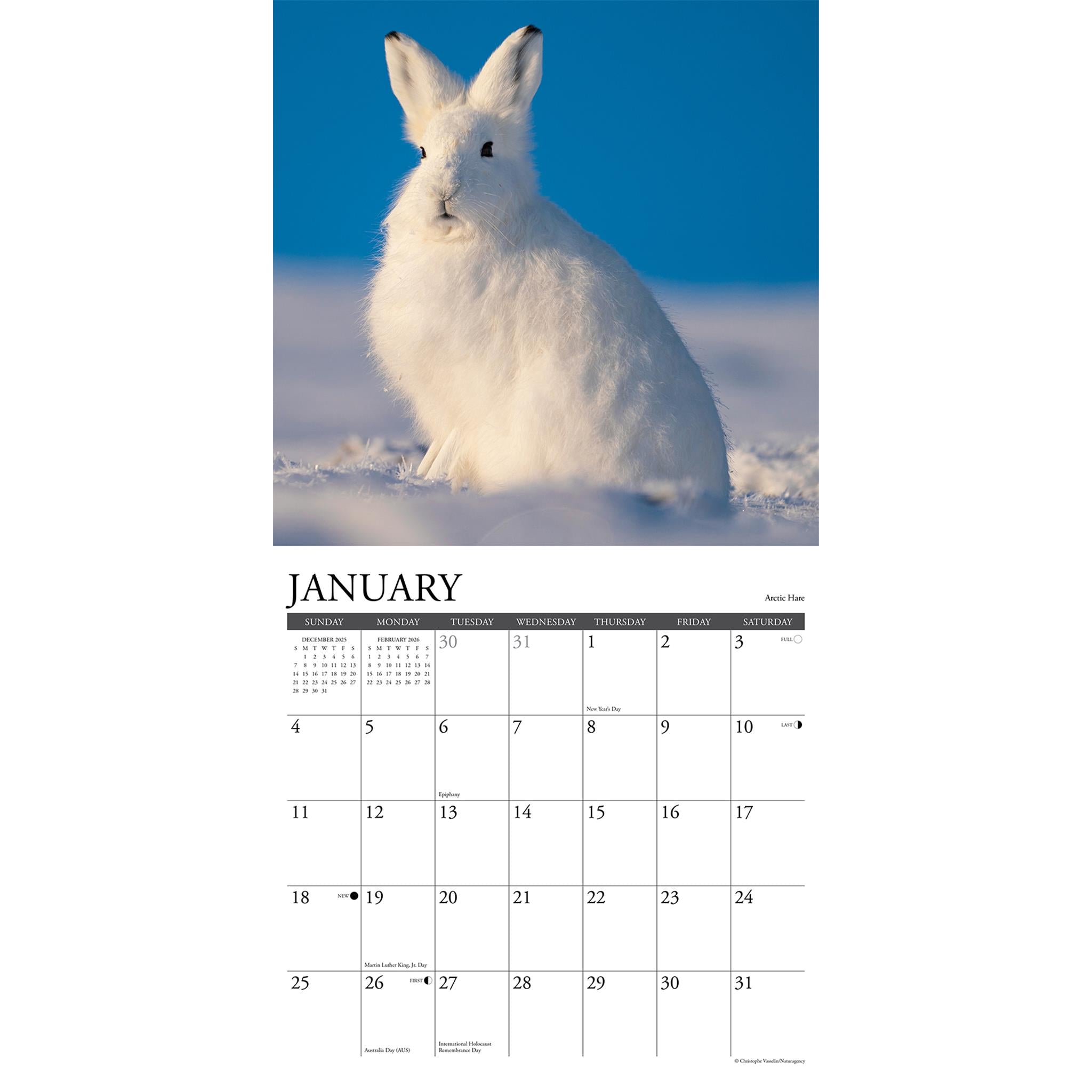 Wildlife 2026 Wall Calendar - Online Only