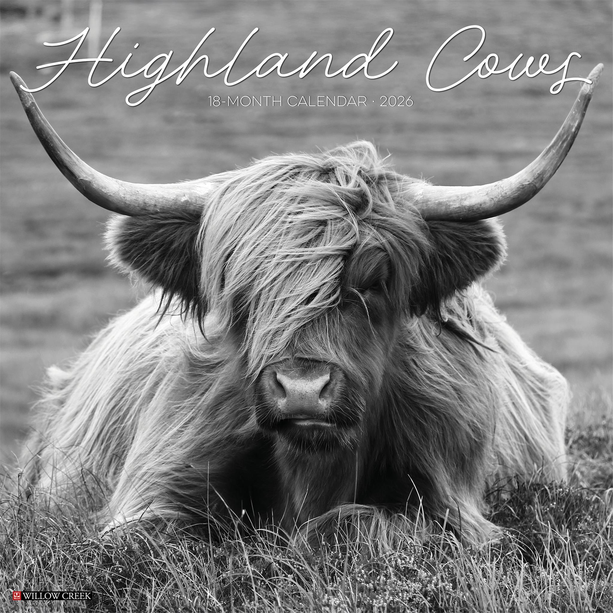Calendrier mural 2026 des vaches des Highlands en noir et blanc