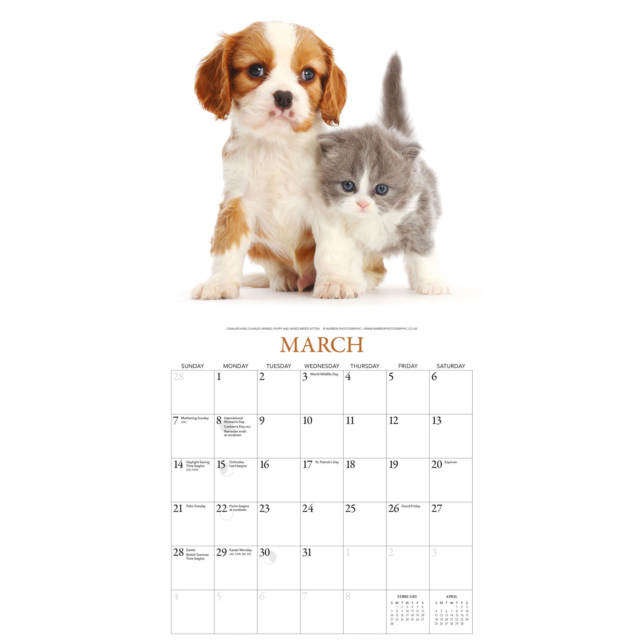 Calendrier mural Chatons et Amis 2027