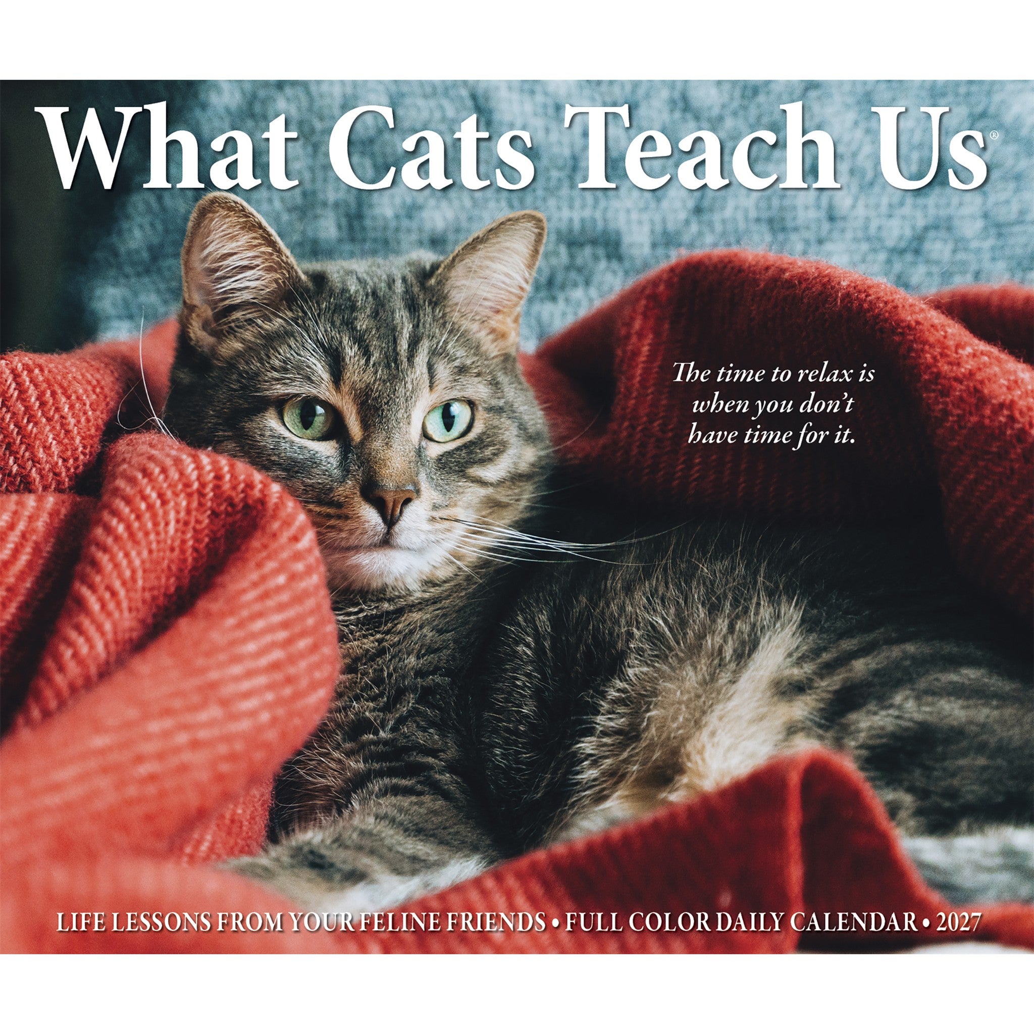 What Cats Teach Us 2027 Box Calendar