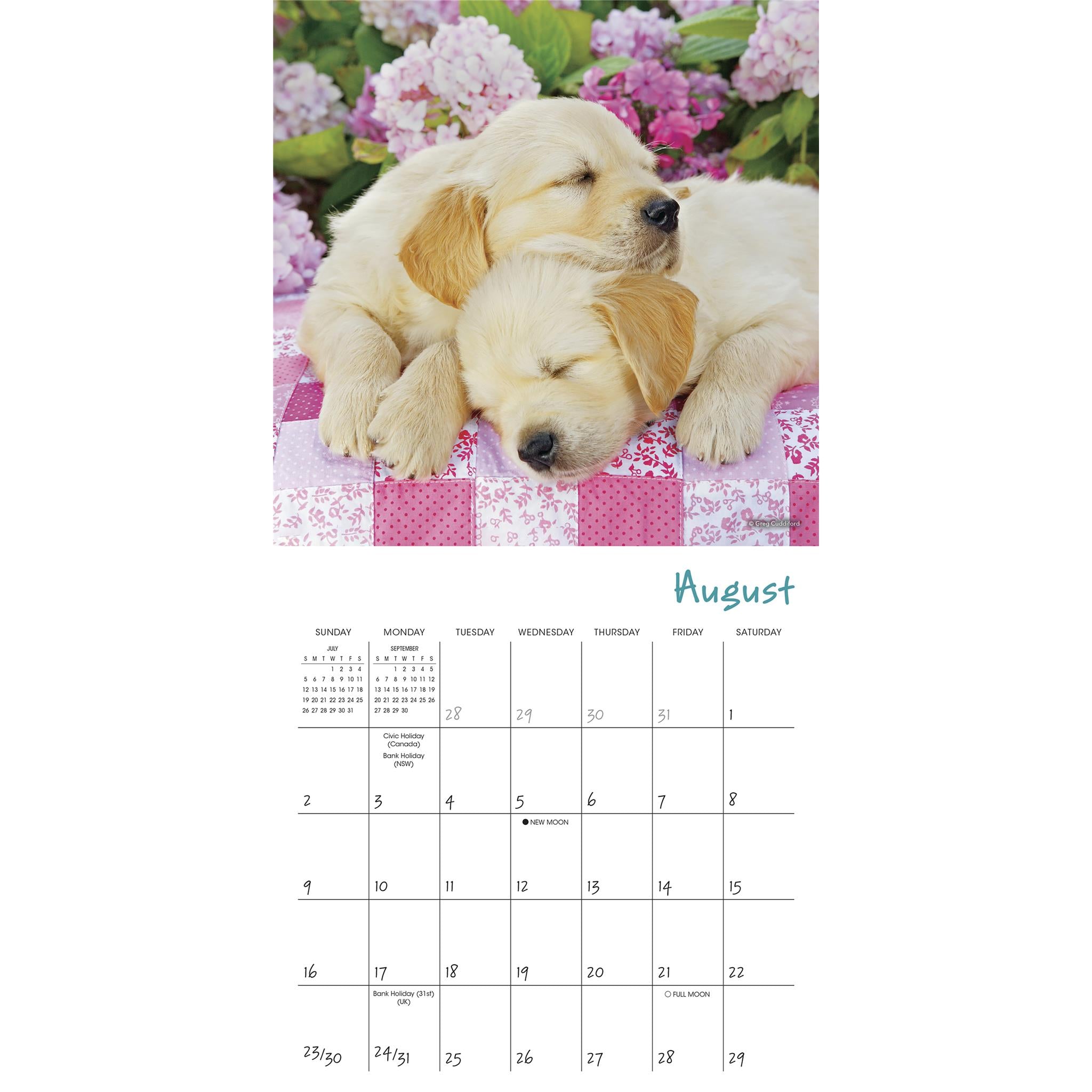 Pooped Puppies 2026 Mini Calendar