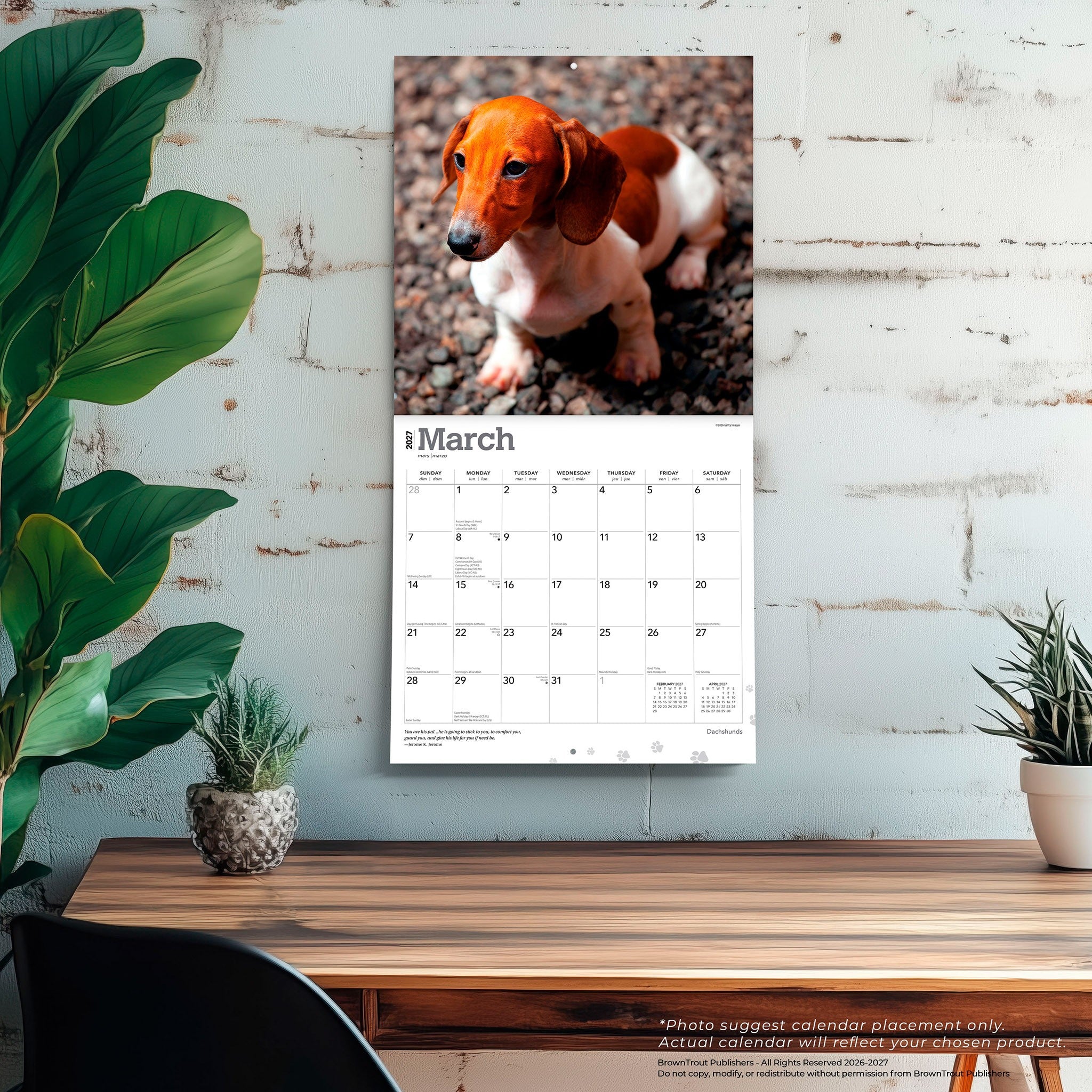 Dachshunds 2027 Wall Calendar