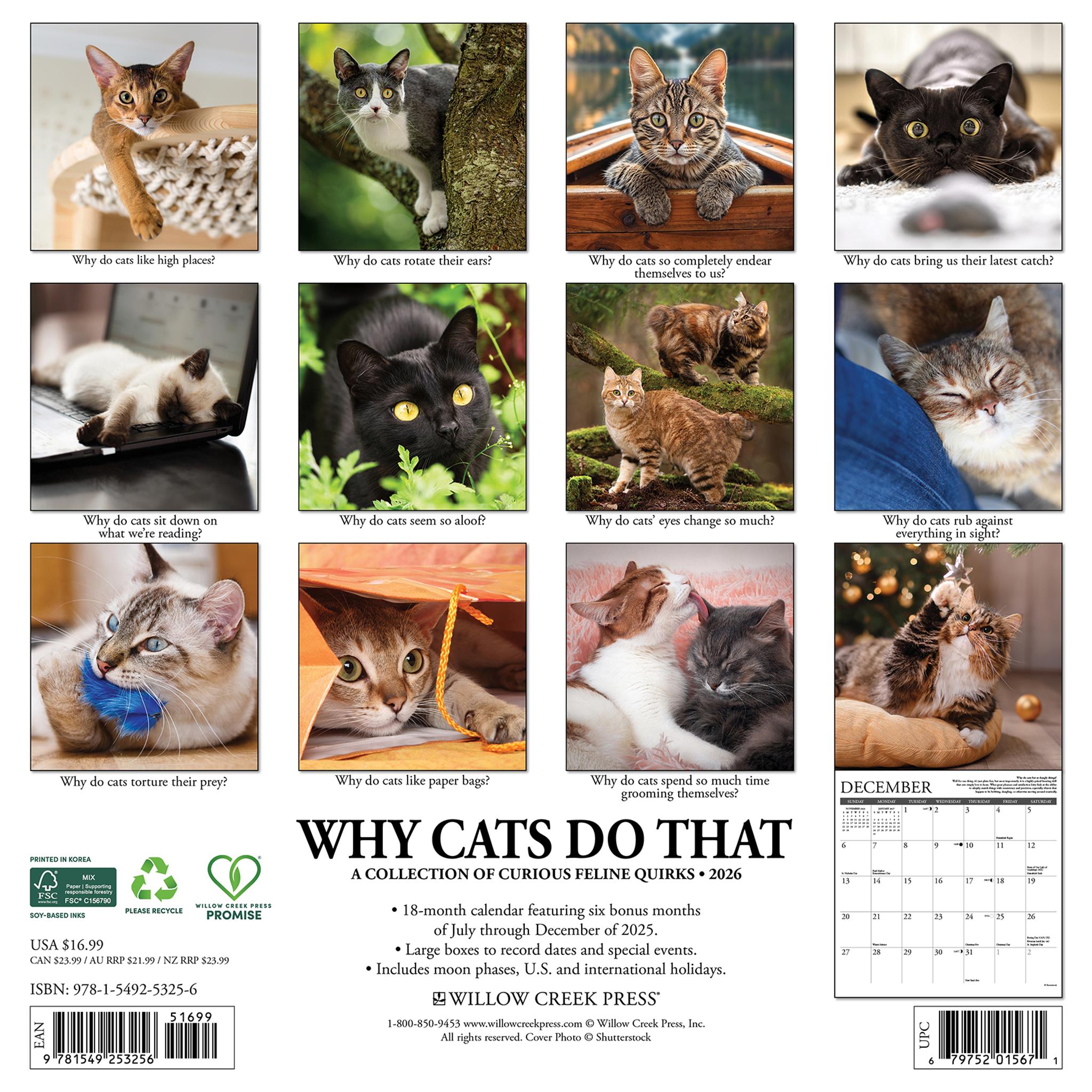 Pourquoi les chats font ça ? Calendrier mural 2026