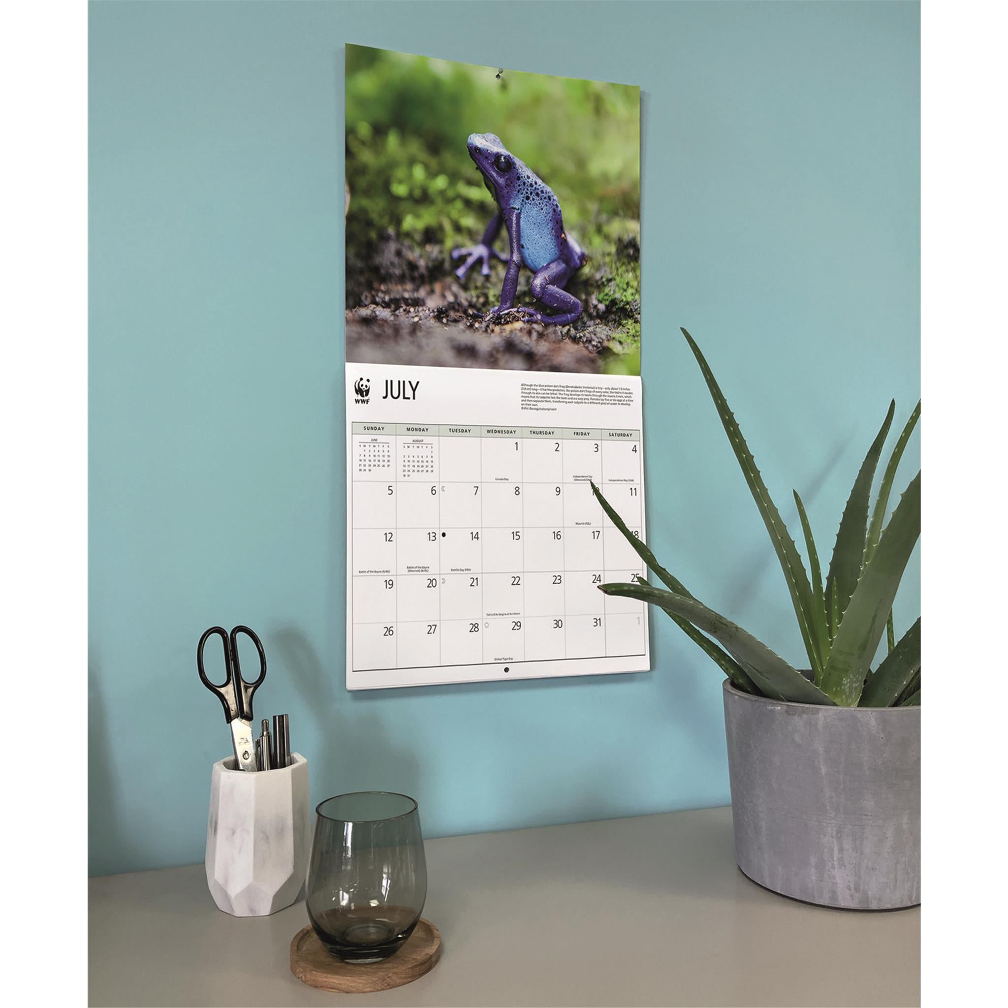World Wildlife Fund Frogs 2026 Wall Calendar