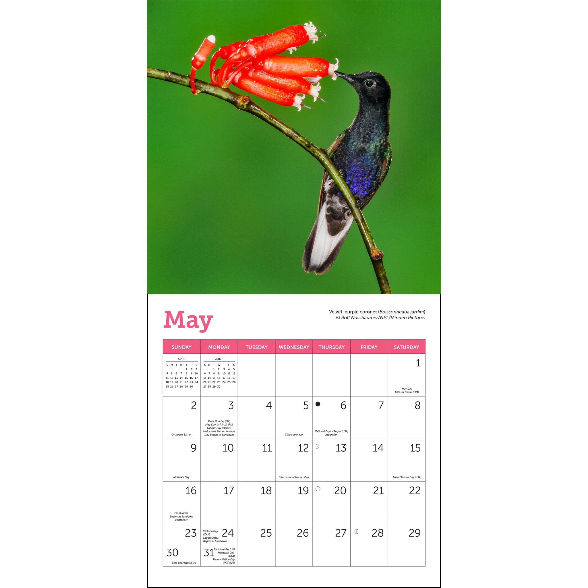 Mini-calendrier Colibris 2027