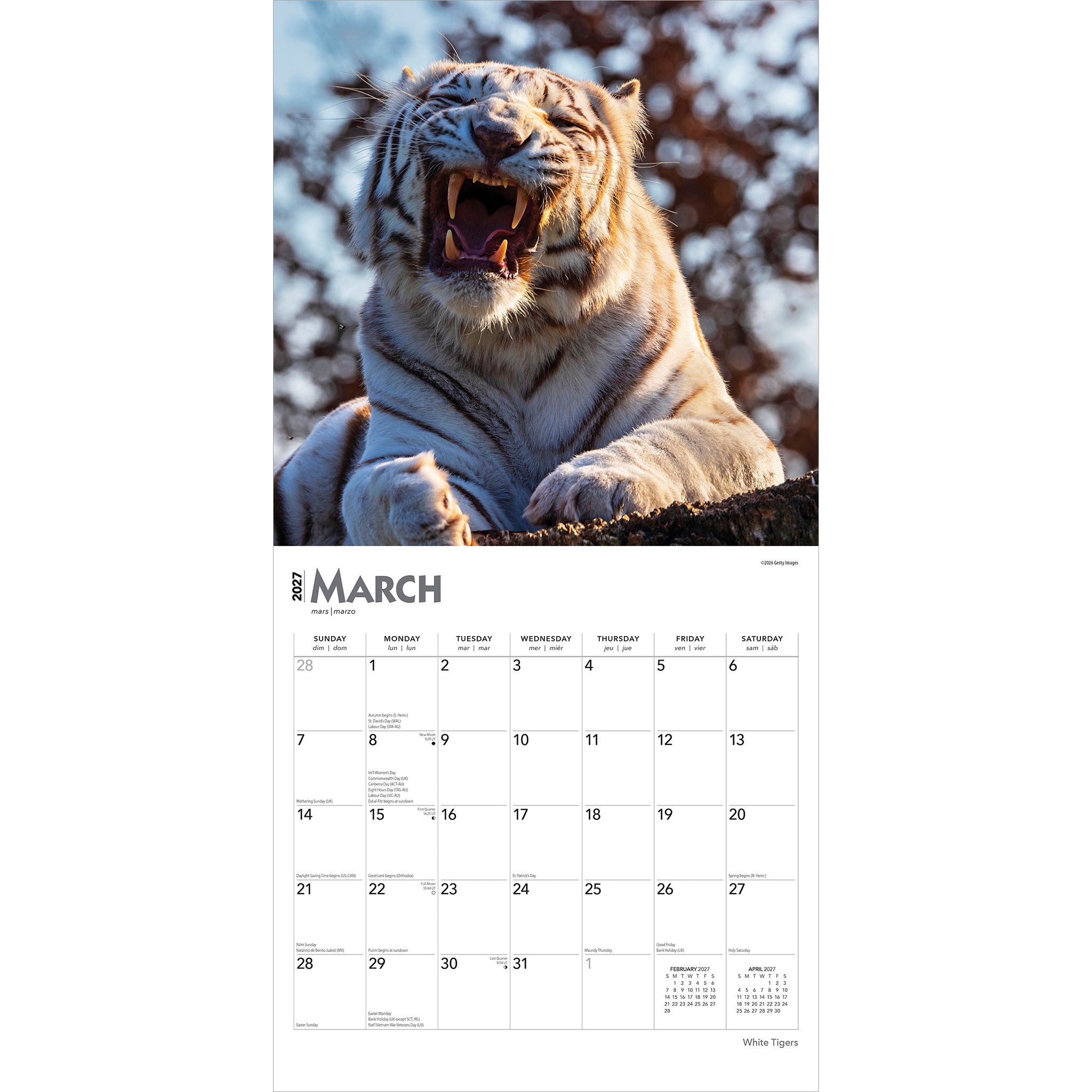 White Tigers 2027 Wall Calendar