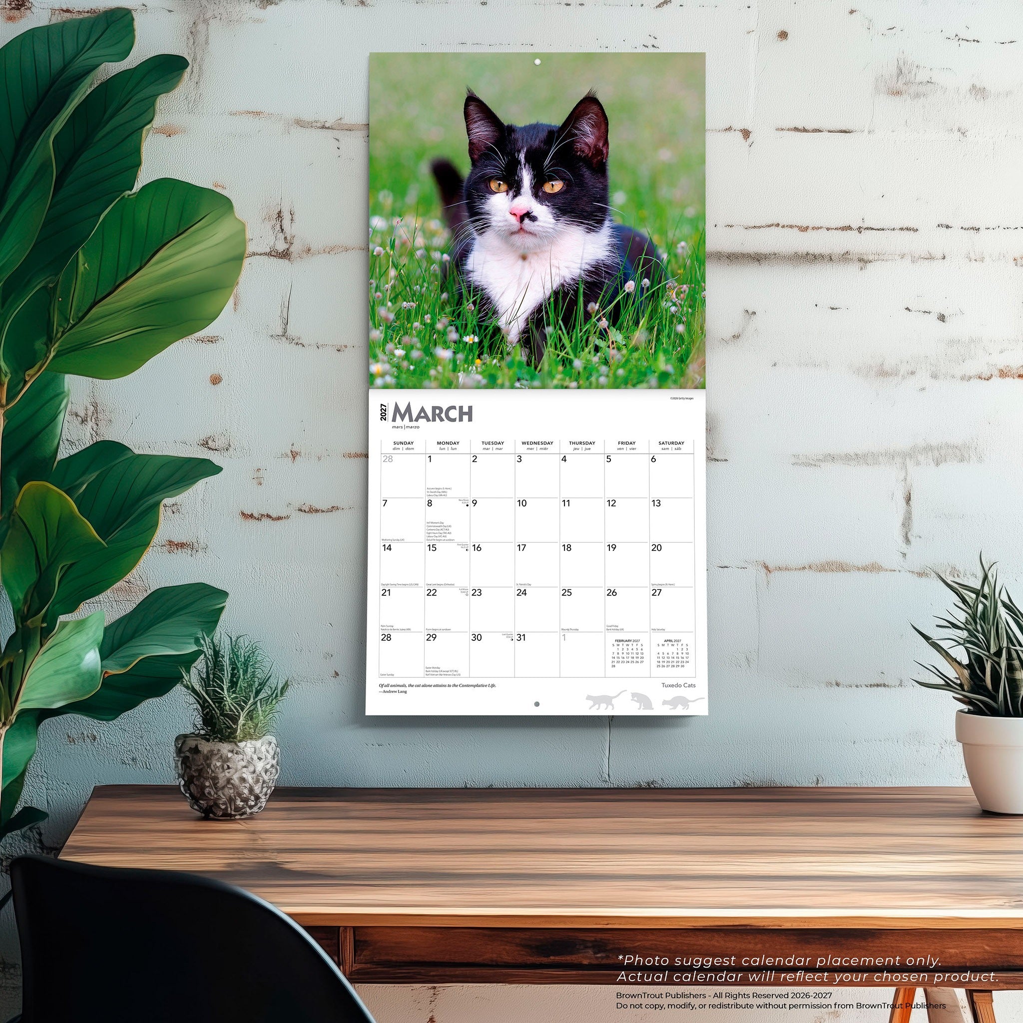 Tuxedo Cats 2027 Wall Calendar