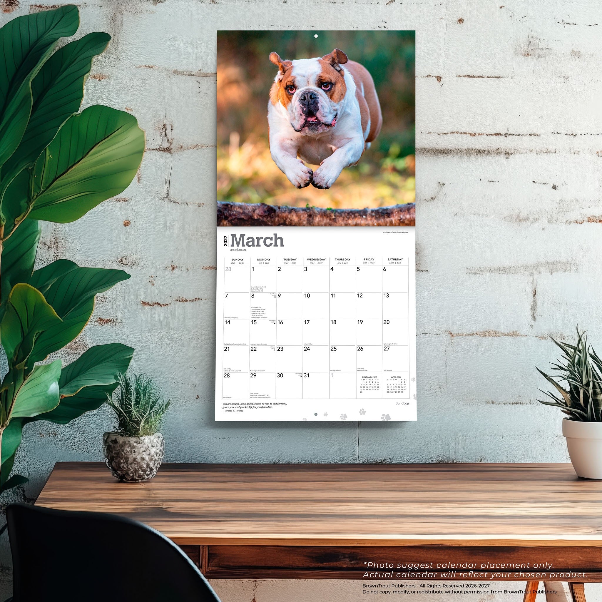 Bulldogs English 2027 Wall Calendar